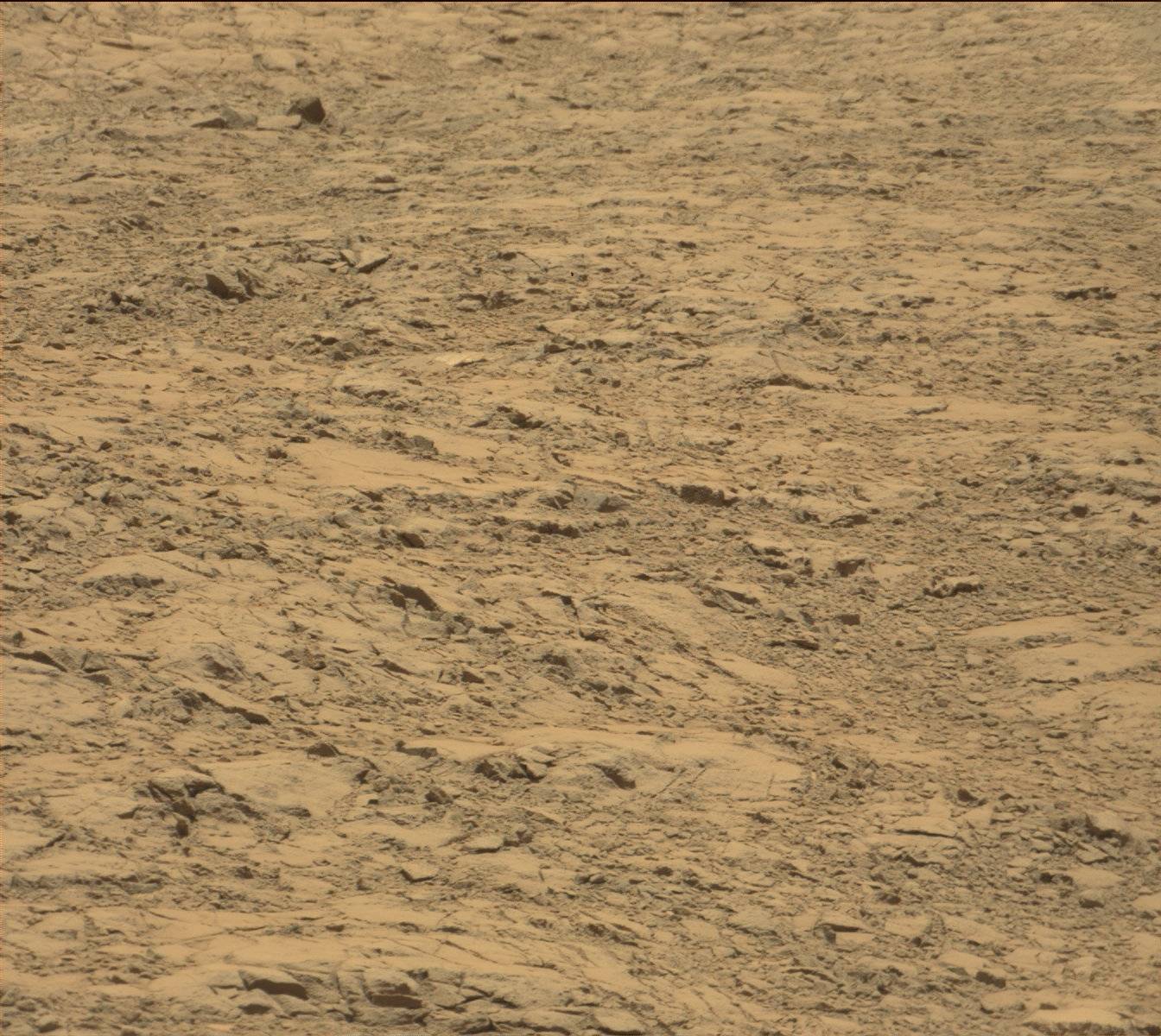 Nasa's Mars rover Curiosity acquired this image using its Mast Camera (Mastcam) on Sol 1399