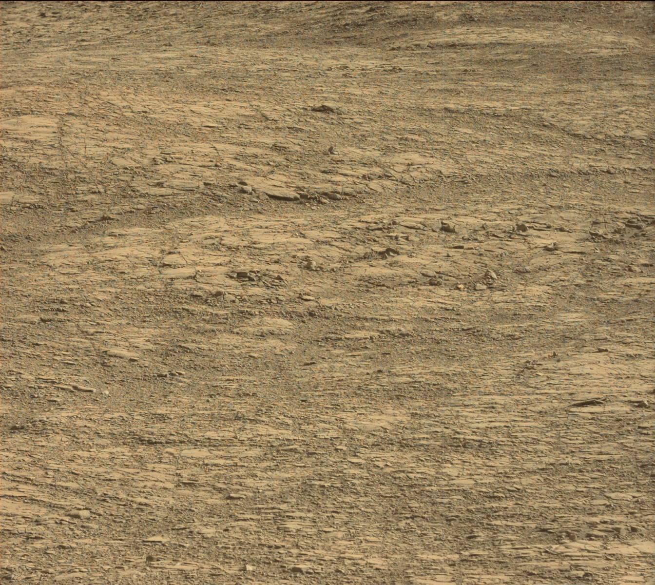 Nasa's Mars rover Curiosity acquired this image using its Mast Camera (Mastcam) on Sol 1410
