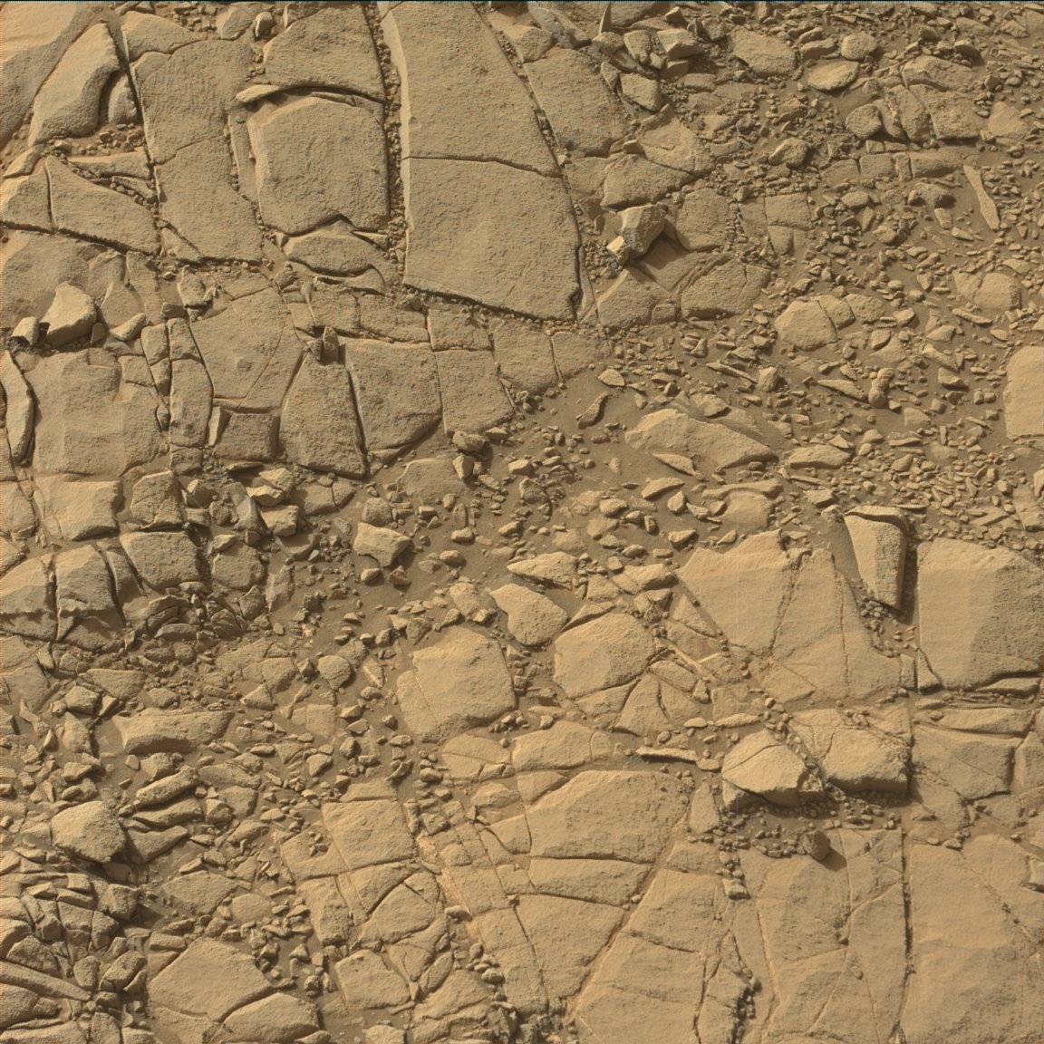 Nasa's Mars rover Curiosity acquired this image using its Mast Camera (Mastcam) on Sol 1410
