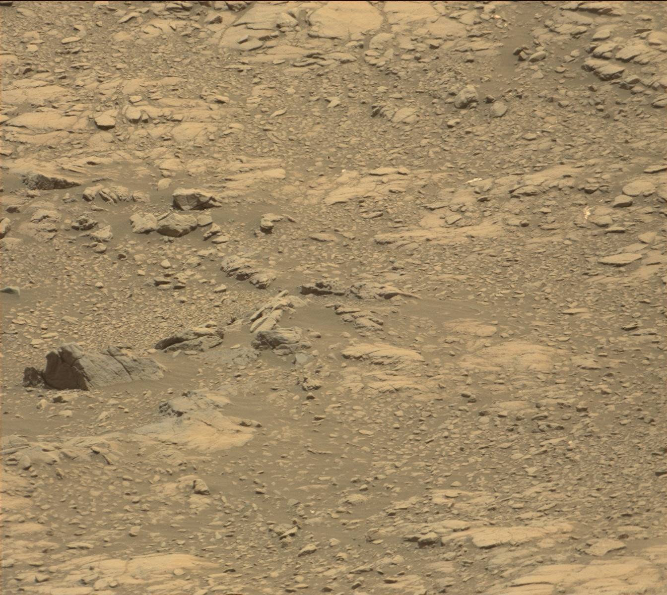Nasa's Mars rover Curiosity acquired this image using its Mast Camera (Mastcam) on Sol 1412