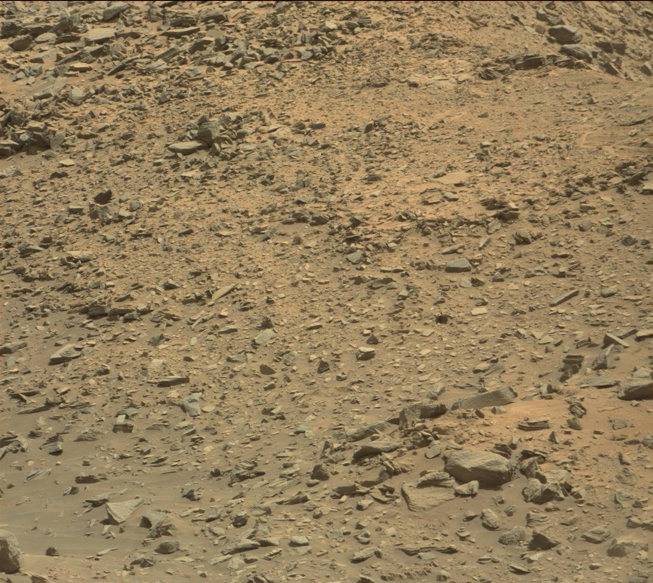 Nasa's Mars rover Curiosity acquired this image using its Mast Camera (Mastcam) on Sol 1414