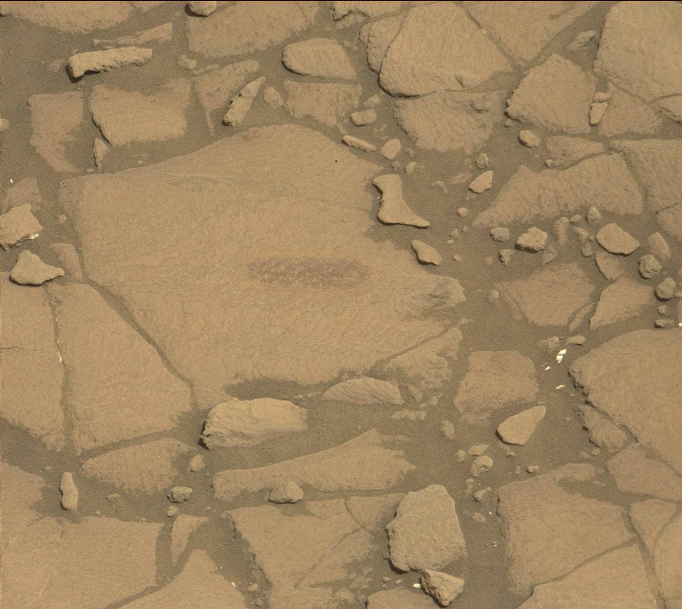Nasa's Mars rover Curiosity acquired this image using its Mast Camera (Mastcam) on Sol 1416