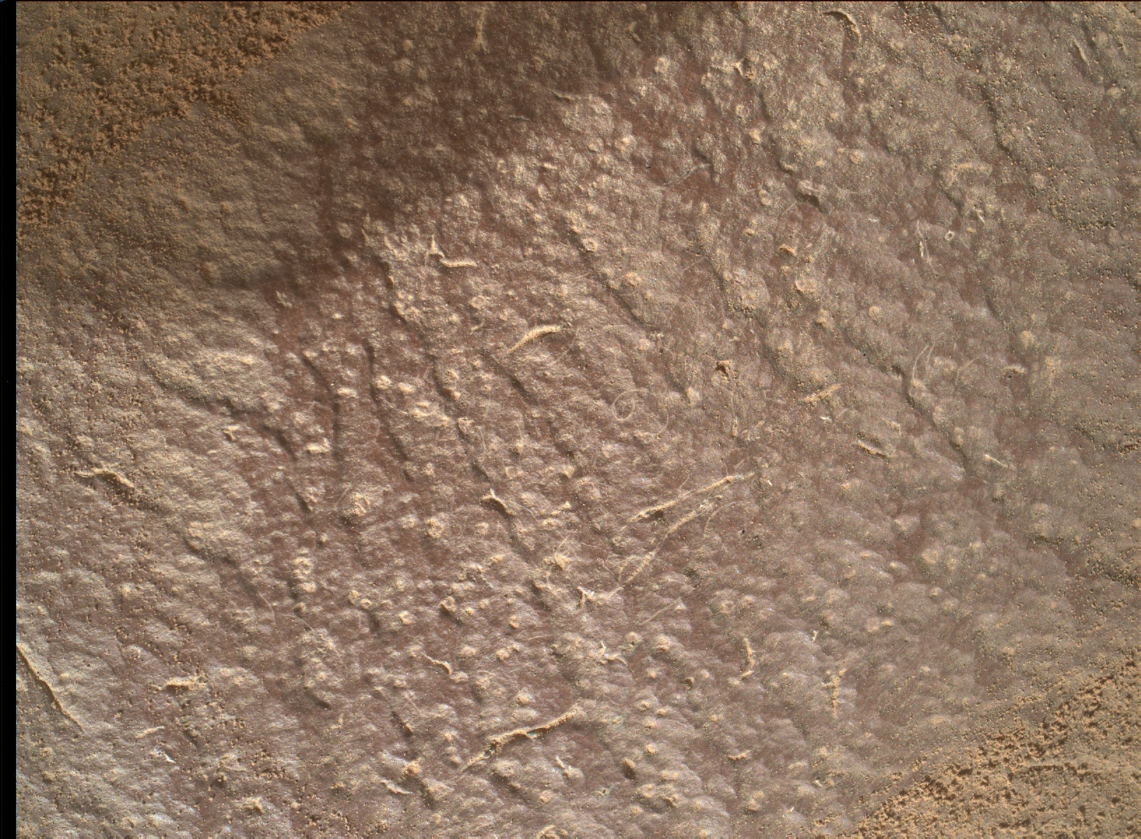 Nasa's Mars rover Curiosity acquired this image using its Mars Hand Lens Imager (MAHLI) on Sol 1416