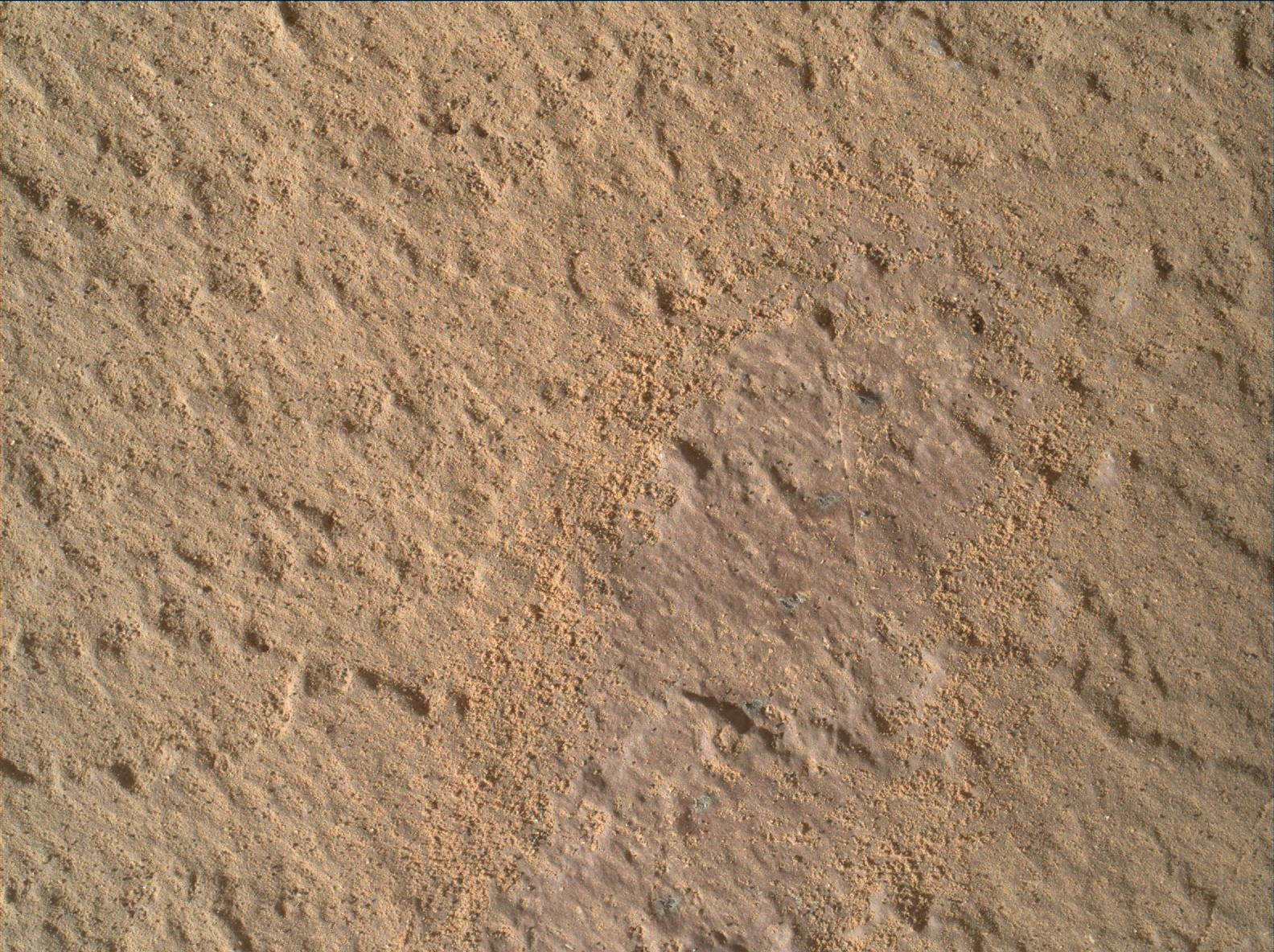 Nasa's Mars rover Curiosity acquired this image using its Mars Hand Lens Imager (MAHLI) on Sol 1417