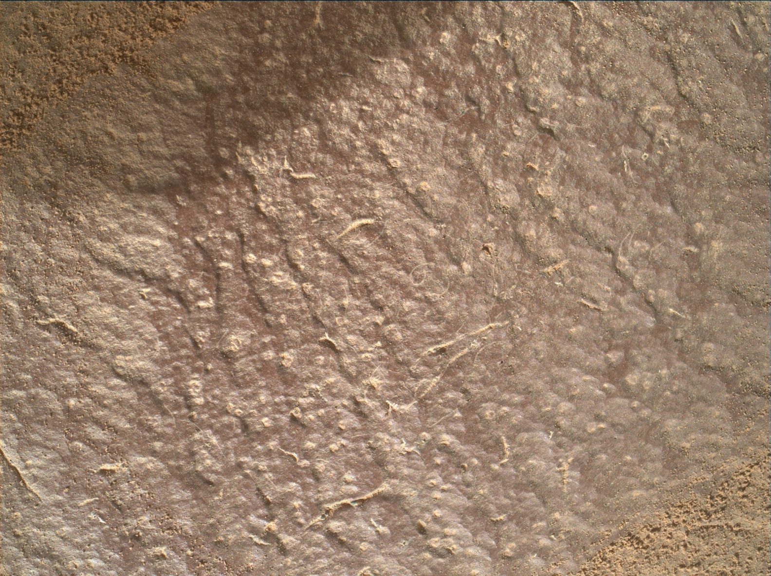 Nasa's Mars rover Curiosity acquired this image using its Mars Hand Lens Imager (MAHLI) on Sol 1417