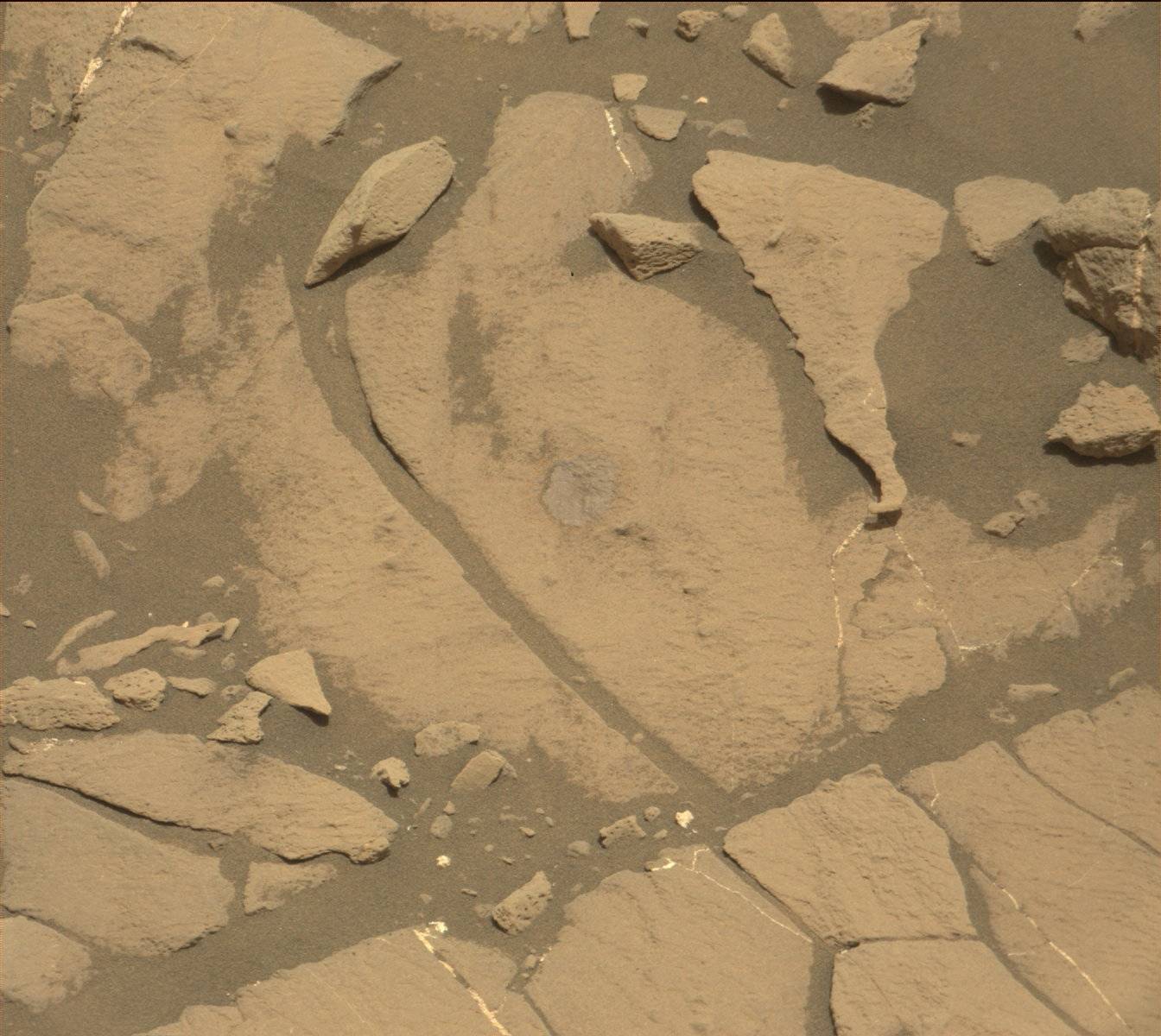 Nasa's Mars rover Curiosity acquired this image using its Mast Camera (Mastcam) on Sol 1419