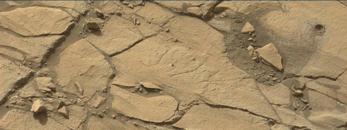 Nasa's Mars rover Curiosity acquired this image using its Mast Camera (Mastcam) on Sol 1420