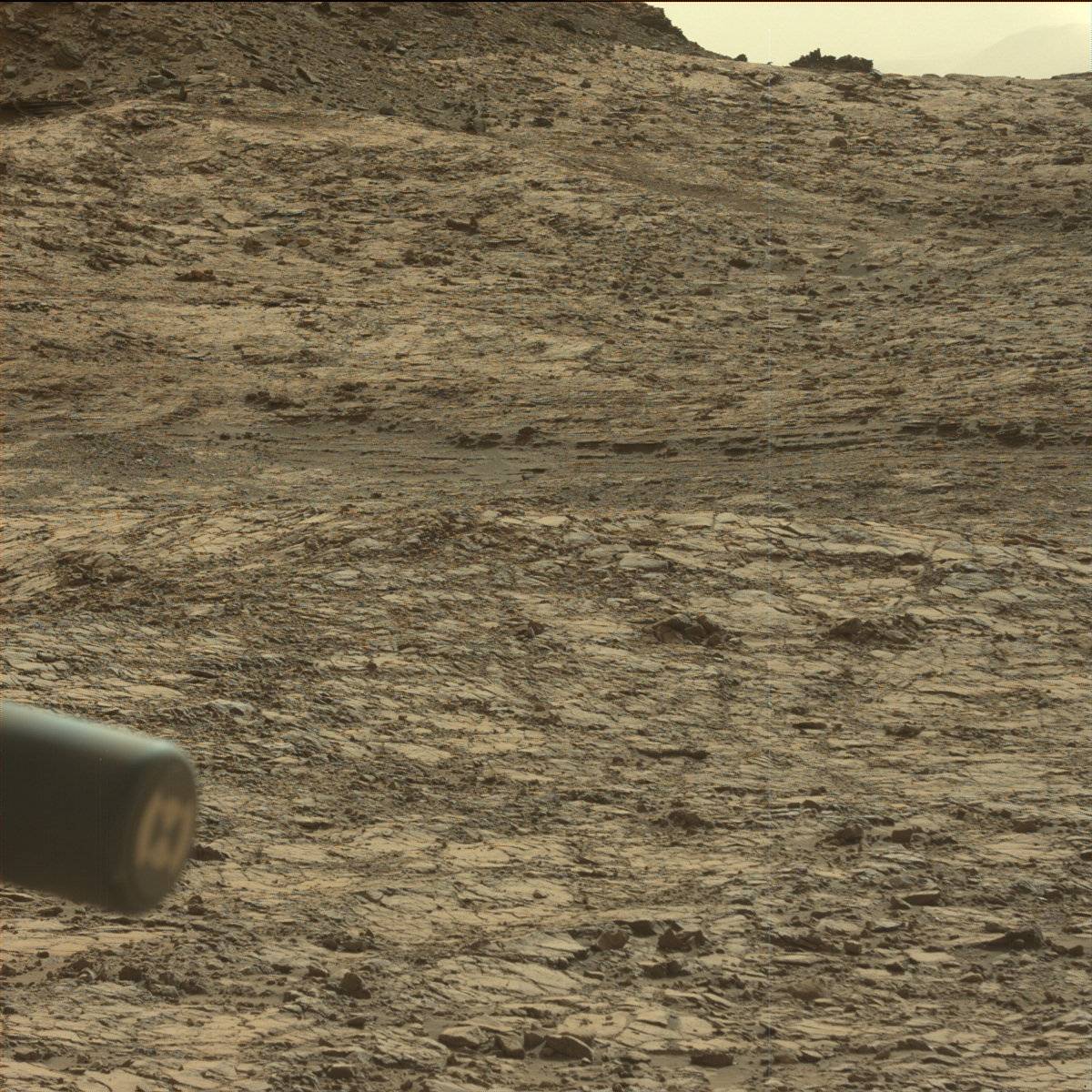 Nasa's Mars rover Curiosity acquired this image using its Mast Camera (Mastcam) on Sol 1421