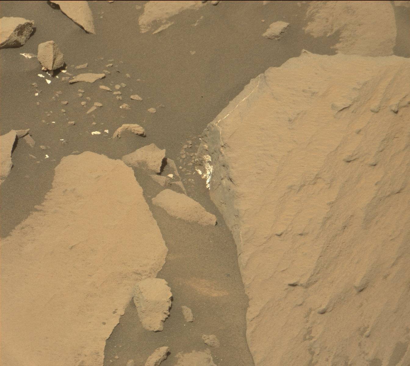 Nasa's Mars rover Curiosity acquired this image using its Mast Camera (Mastcam) on Sol 1424