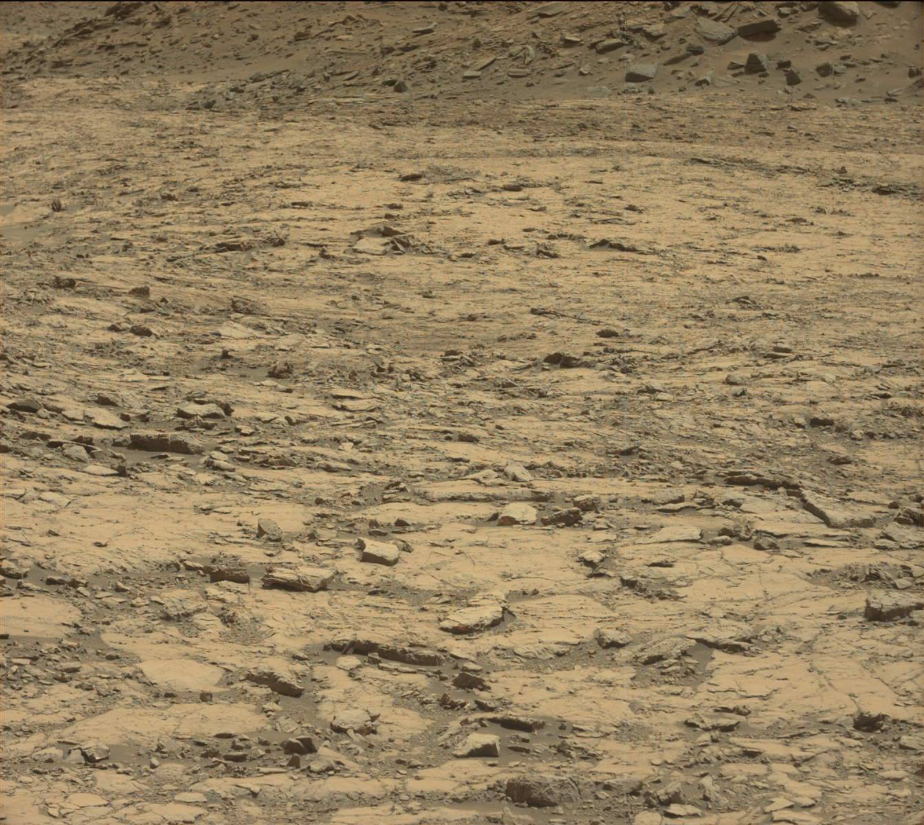 Nasa's Mars rover Curiosity acquired this image using its Mast Camera (Mastcam) on Sol 1428