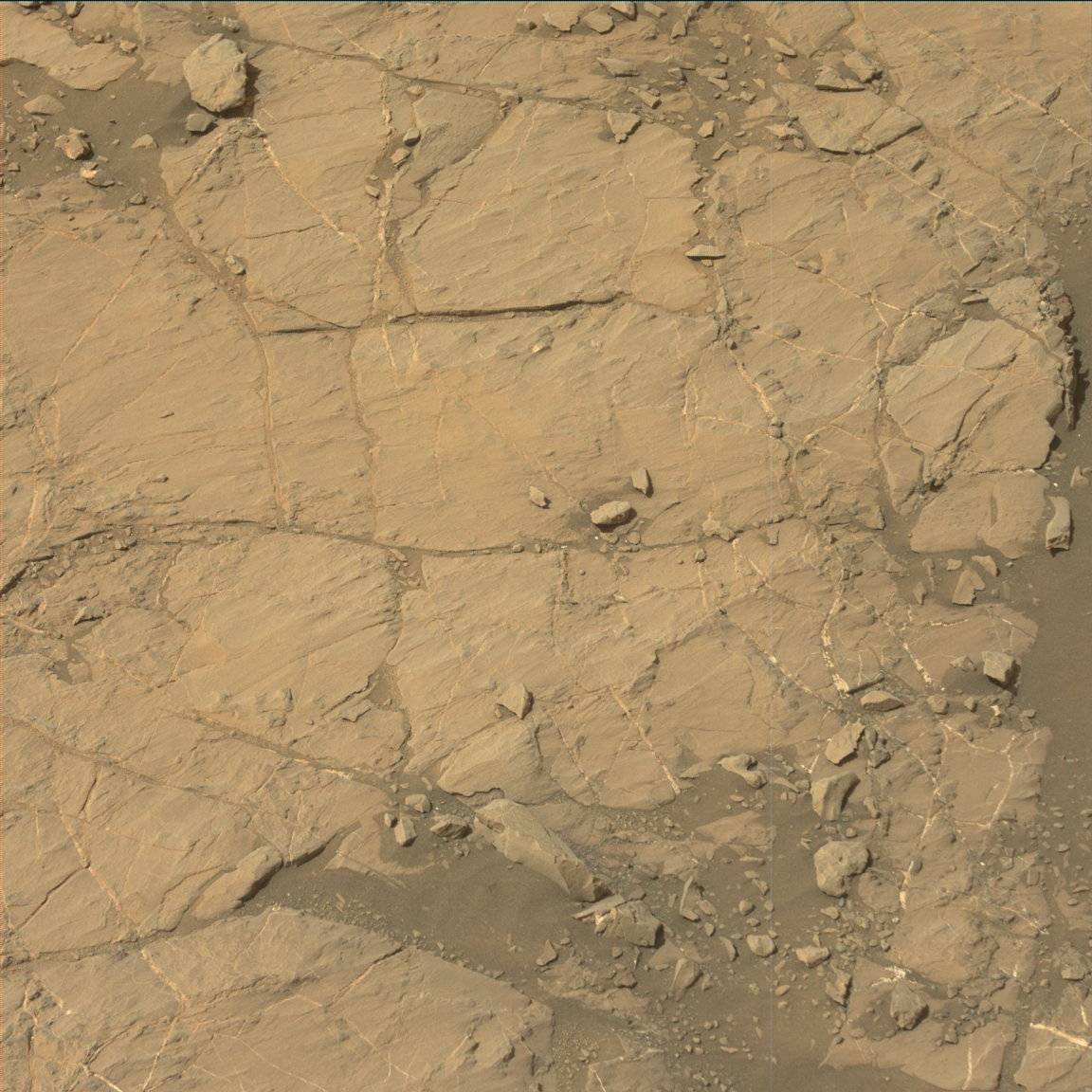Nasa's Mars rover Curiosity acquired this image using its Mast Camera (Mastcam) on Sol 1428