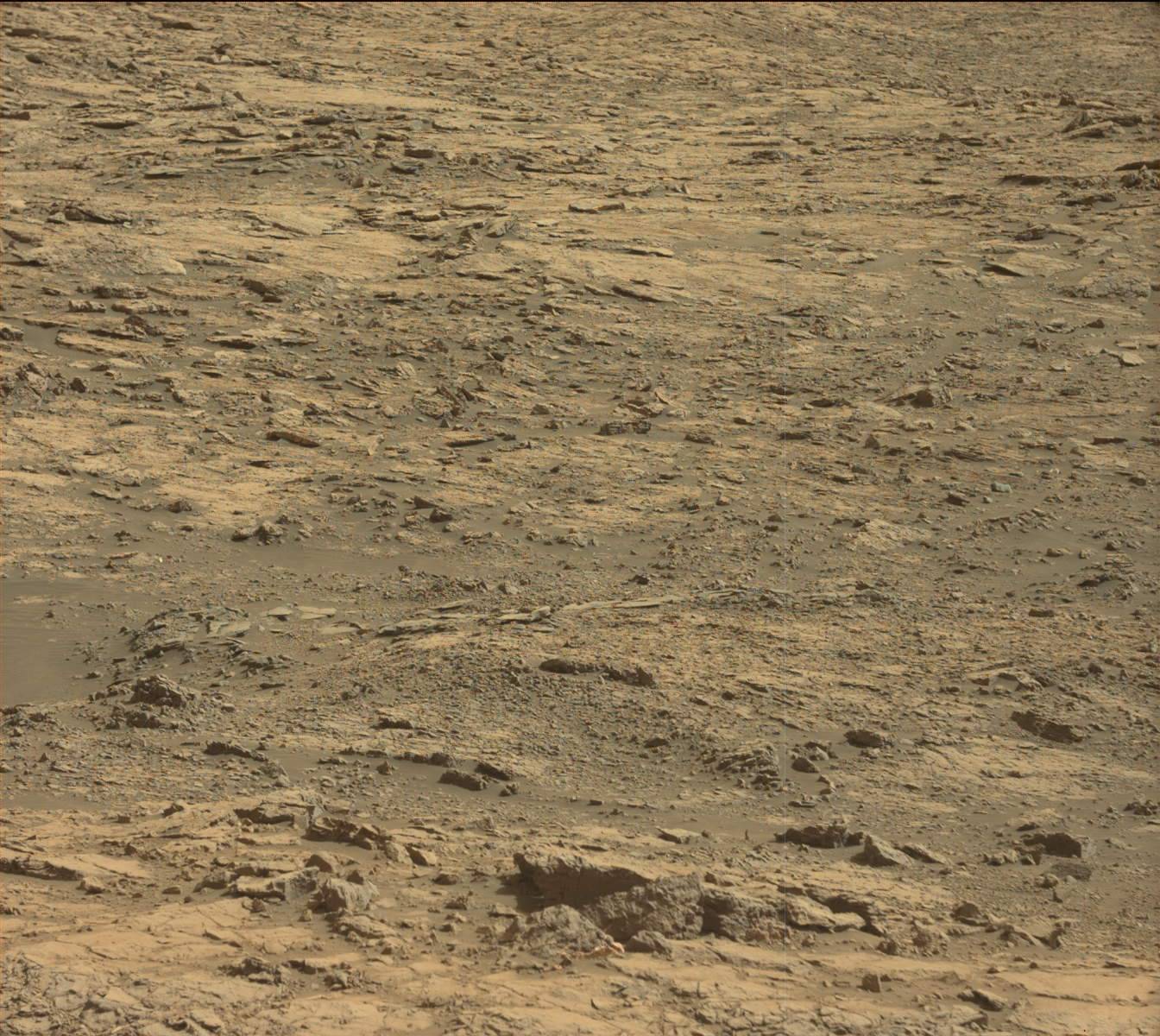 Nasa's Mars rover Curiosity acquired this image using its Mast Camera (Mastcam) on Sol 1431