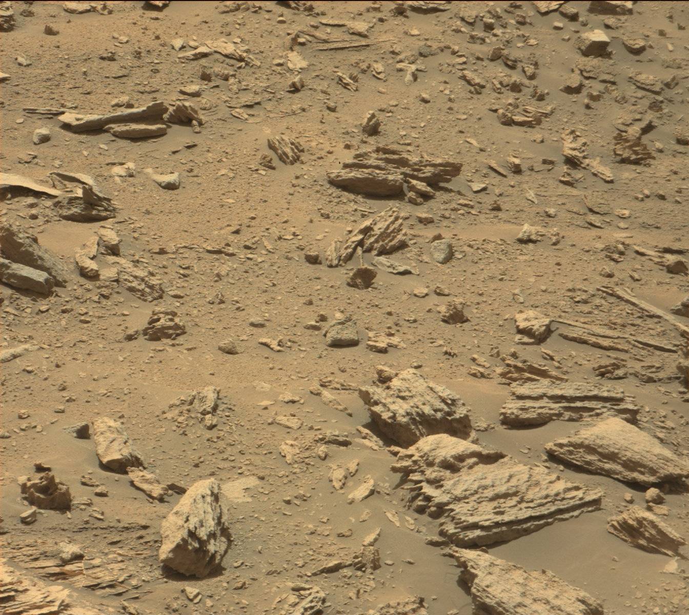 Nasa's Mars rover Curiosity acquired this image using its Mast Camera (Mastcam) on Sol 1433