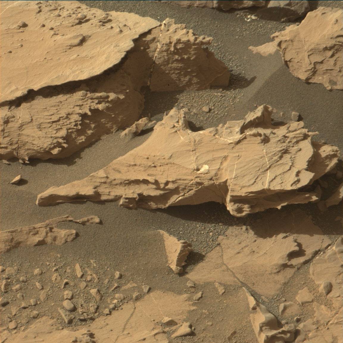 Nasa's Mars rover Curiosity acquired this image using its Mast Camera (Mastcam) on Sol 1435