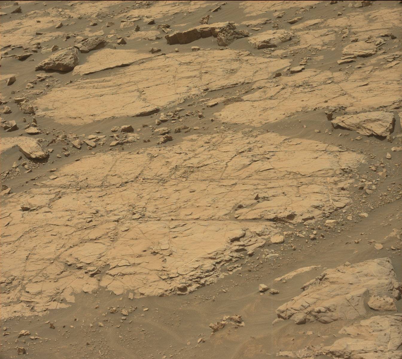 Nasa's Mars rover Curiosity acquired this image using its Mast Camera (Mastcam) on Sol 1436