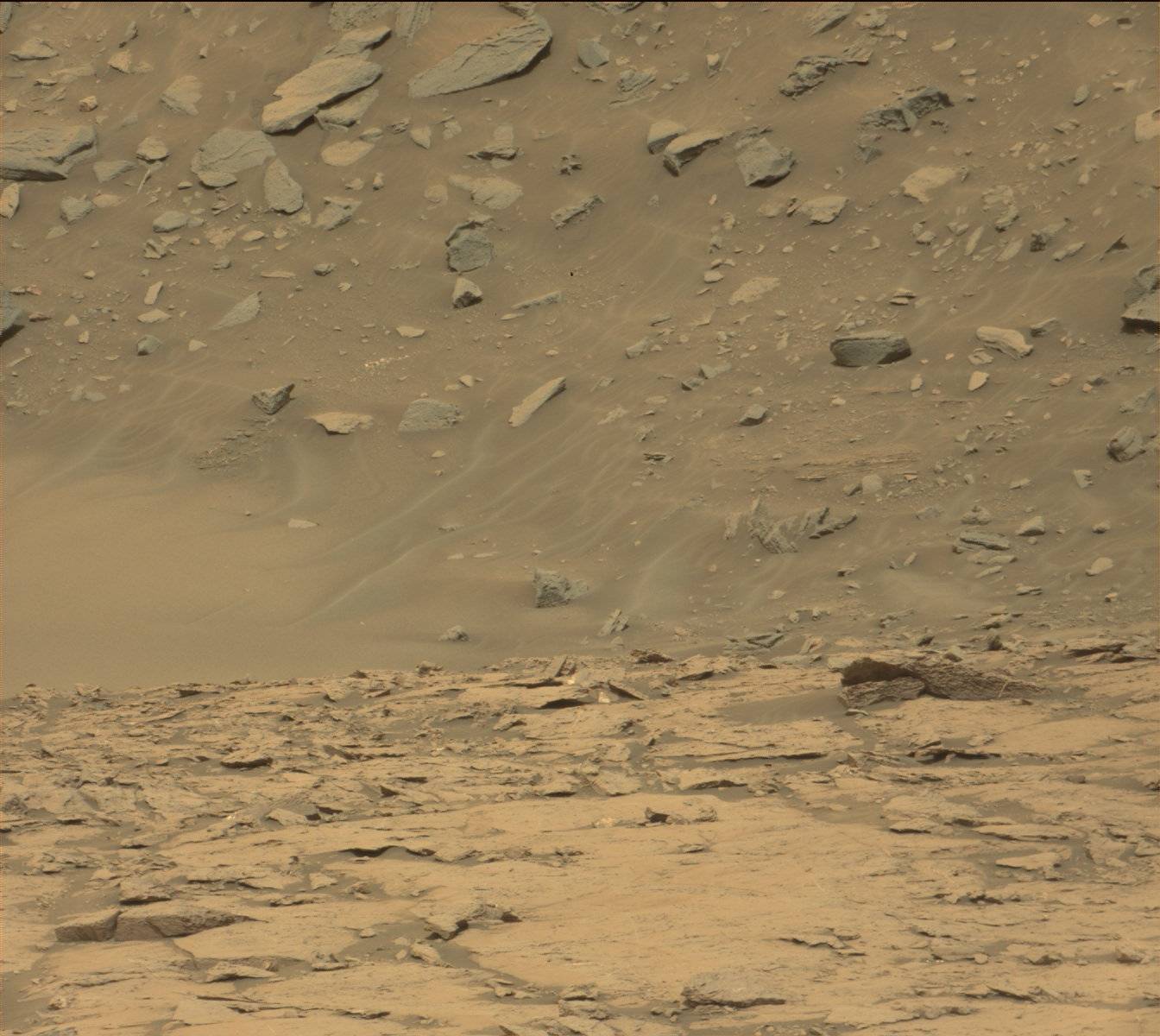Mars rover curiosity image from MAST camera