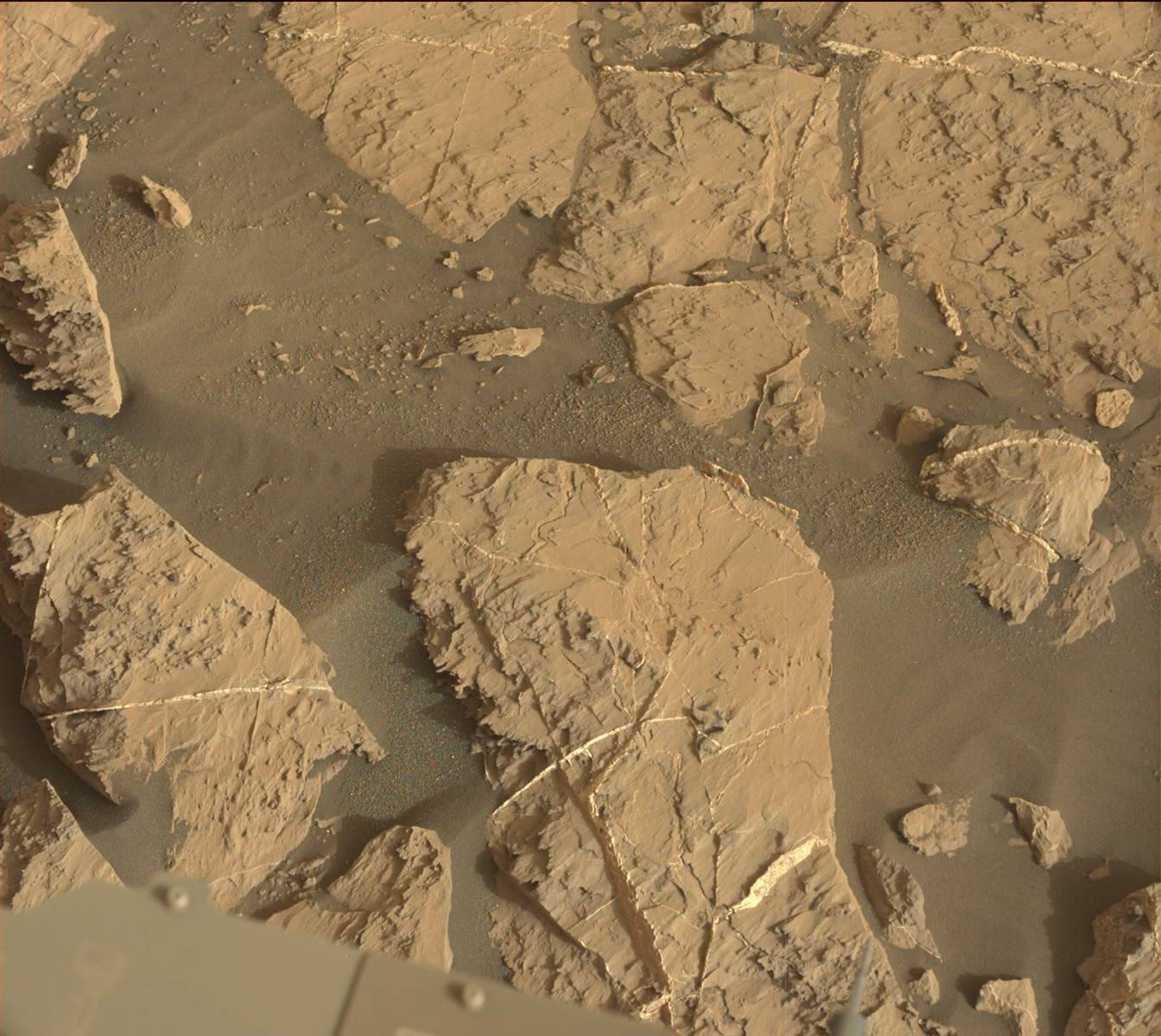 Nasa's Mars rover Curiosity acquired this image using its Mast Camera (Mastcam) on Sol 1441