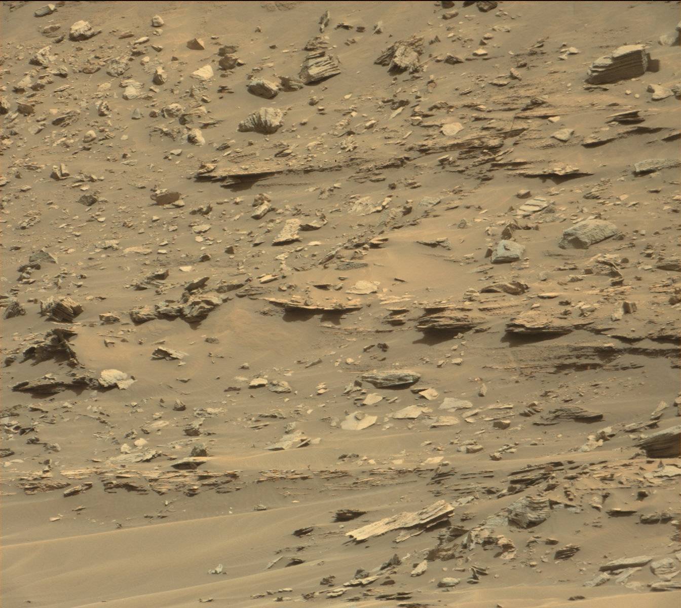 Nasa's Mars rover Curiosity acquired this image using its Mast Camera (Mastcam) on Sol 1441
