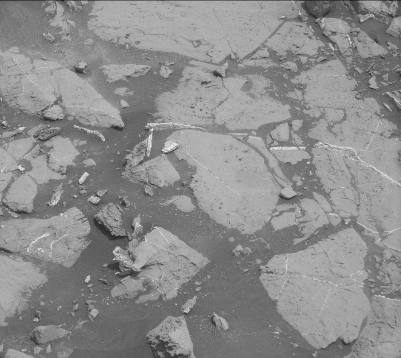 Nasa's Mars rover Curiosity acquired this image using its Mast Camera (Mastcam) on Sol 1445