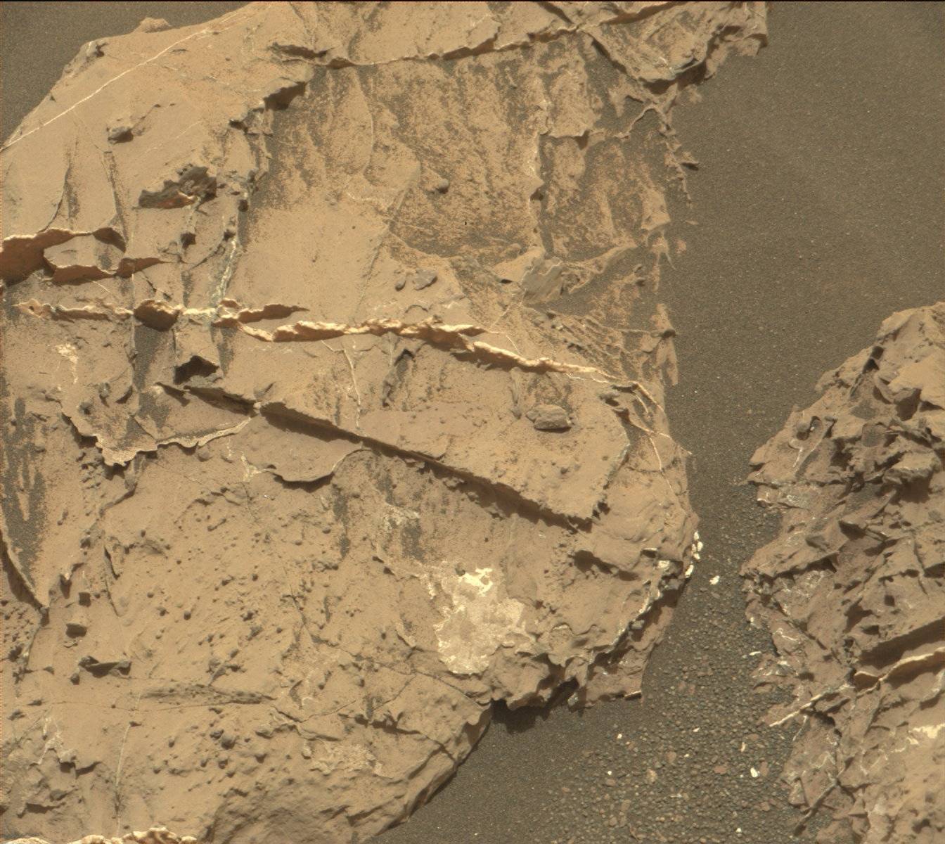 Nasa's Mars rover Curiosity acquired this image using its Mast Camera (Mastcam) on Sol 1445