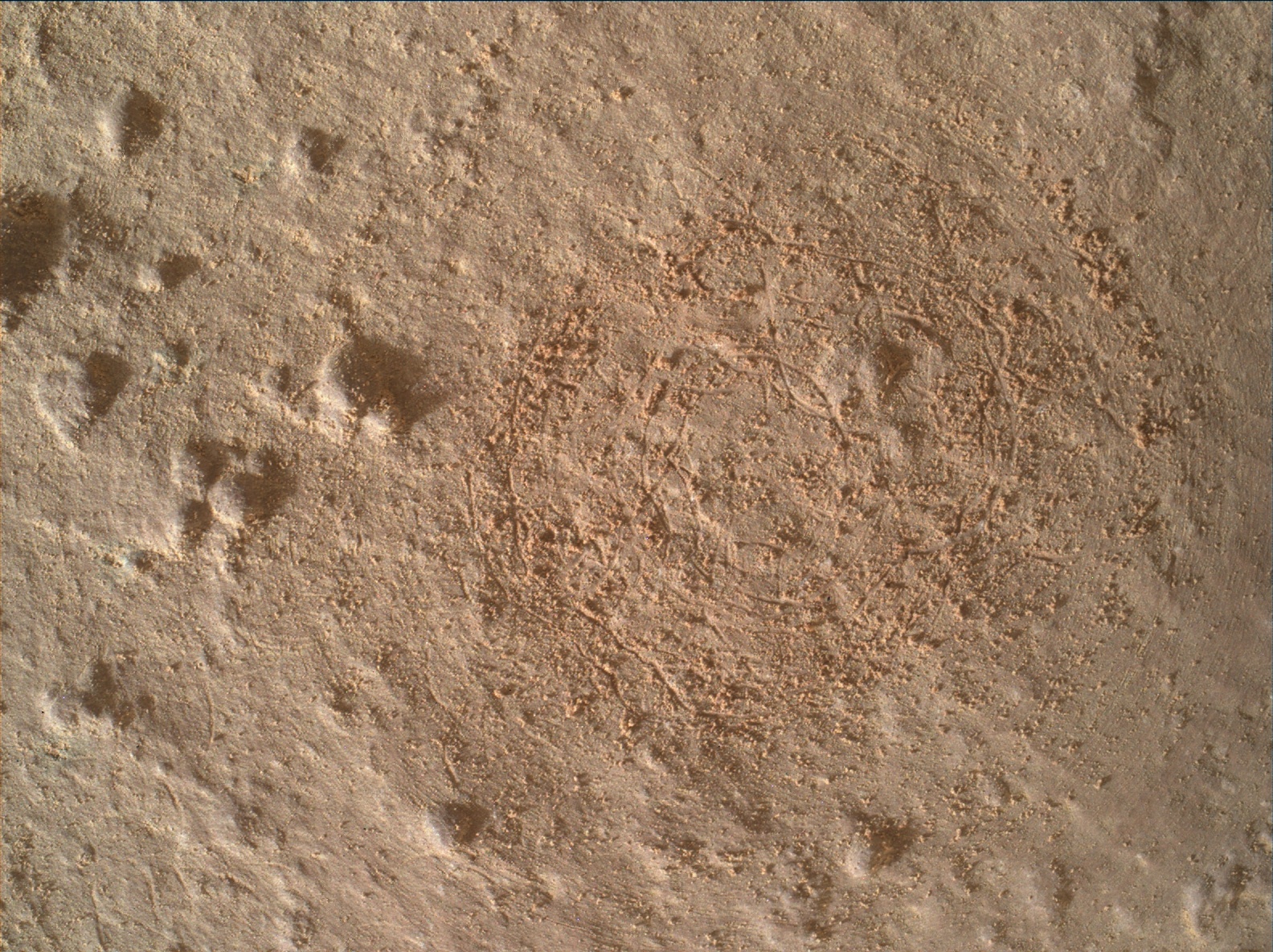 Nasa's Mars rover Curiosity acquired this image using its Mars Hand Lens Imager (MAHLI) on Sol 1445