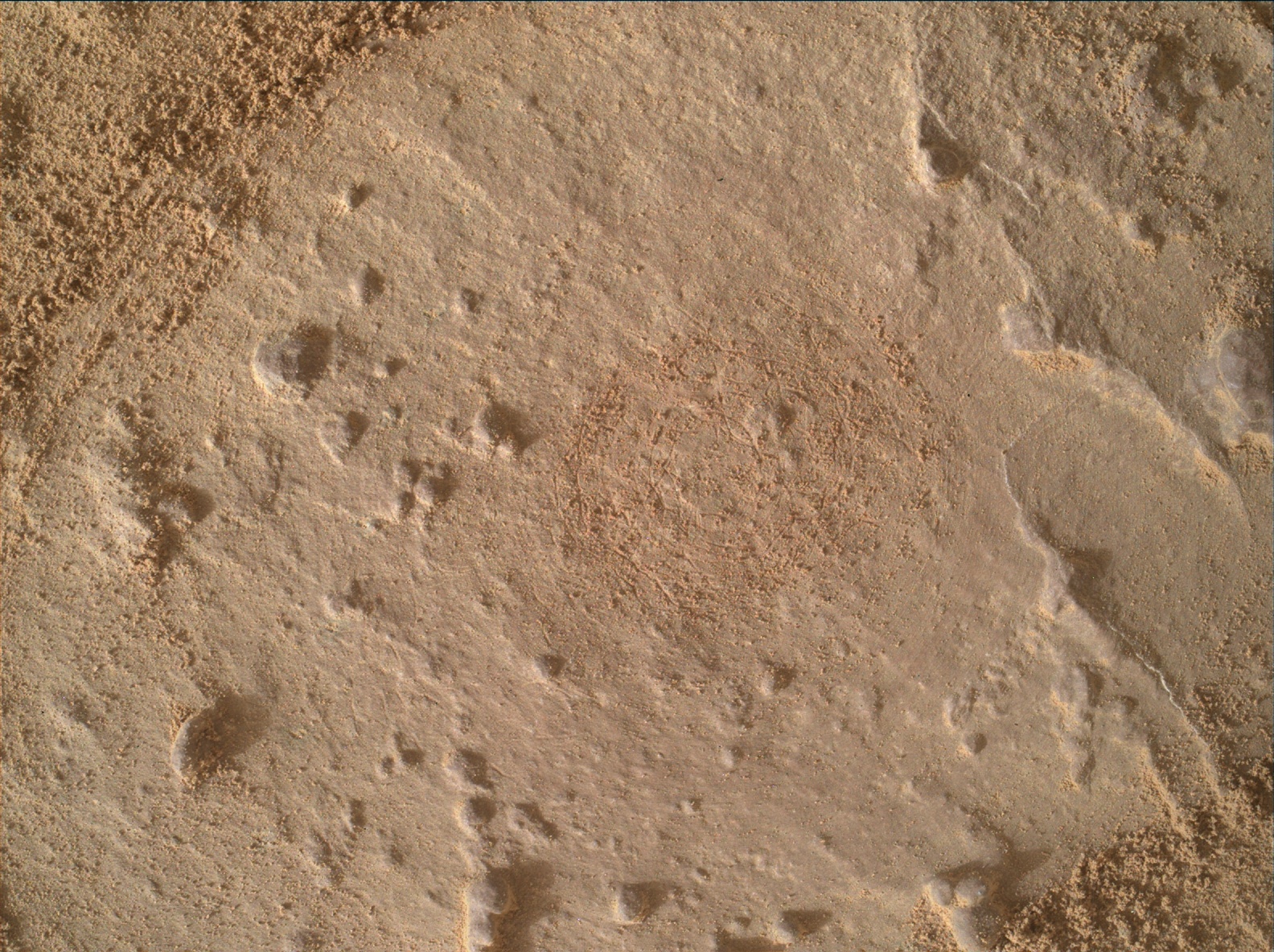 Nasa's Mars rover Curiosity acquired this image using its Mars Hand Lens Imager (MAHLI) on Sol 1445