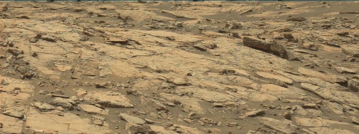 Nasa's Mars rover Curiosity acquired this image using its Mast Camera (Mastcam) on Sol 1446