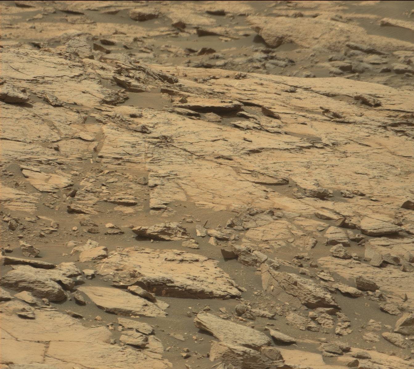 Nasa's Mars rover Curiosity acquired this image using its Mast Camera (Mastcam) on Sol 1446