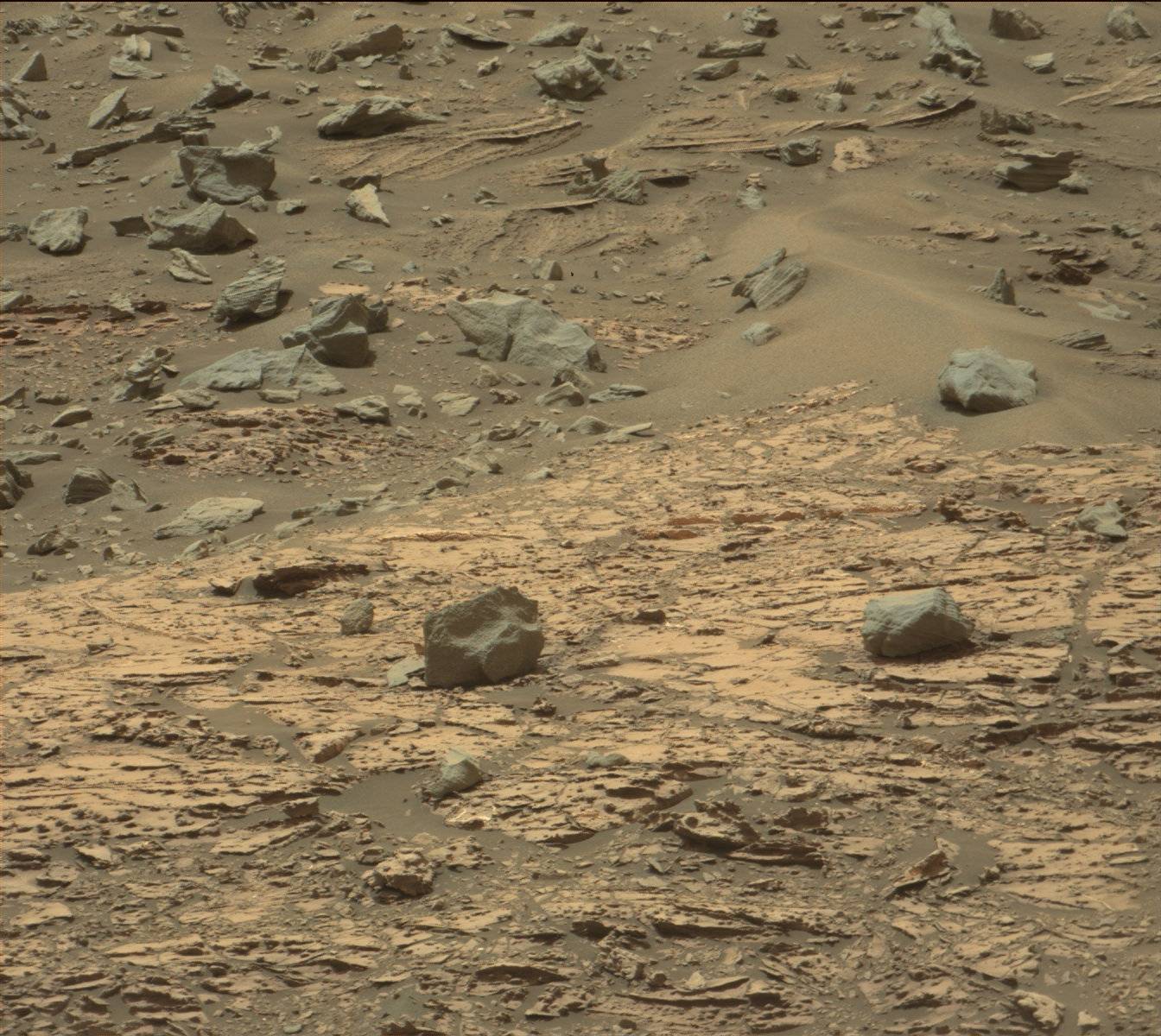 Nasa's Mars rover Curiosity acquired this image using its Mast Camera (Mastcam) on Sol 1450