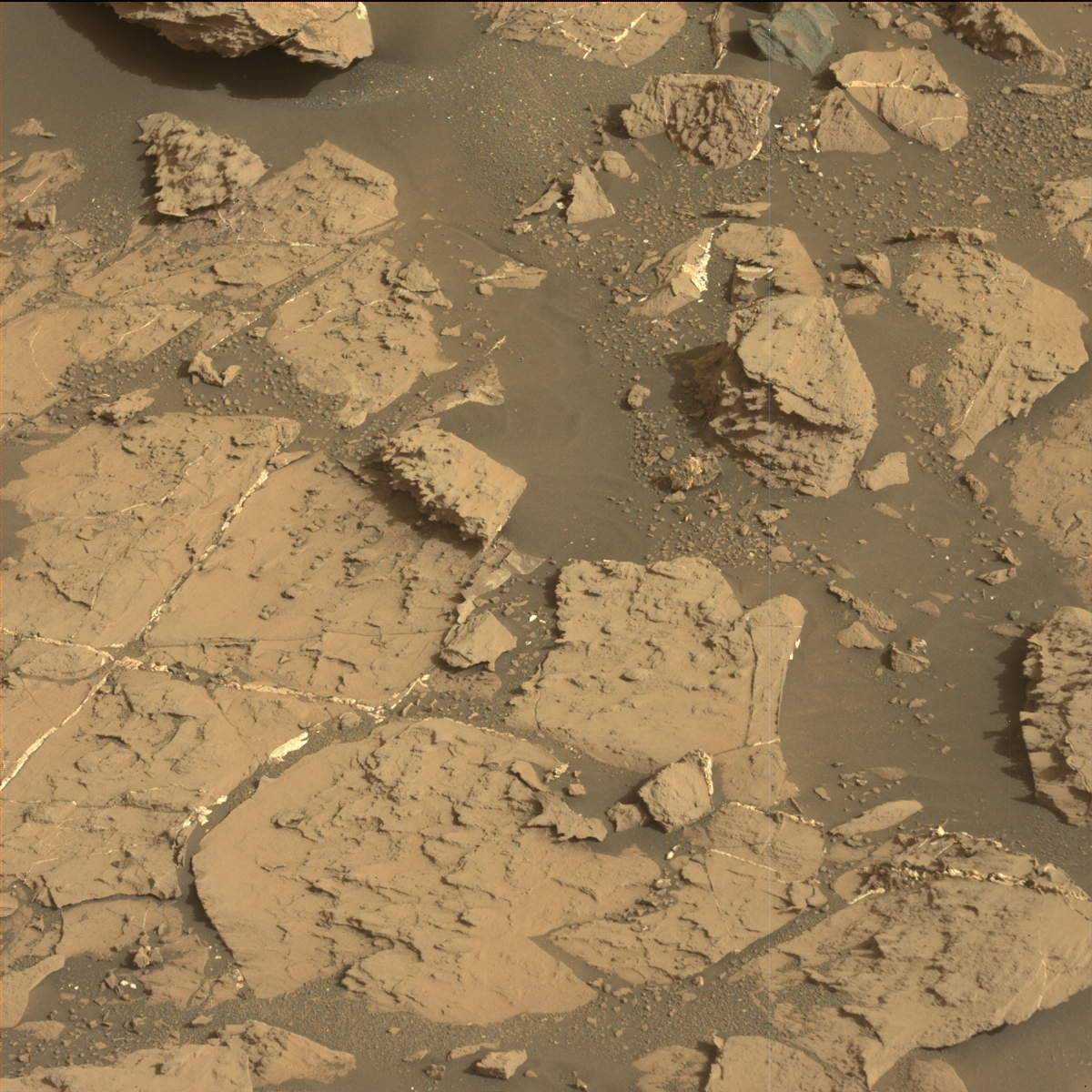 Nasa's Mars rover Curiosity acquired this image using its Mast Camera (Mastcam) on Sol 1451
