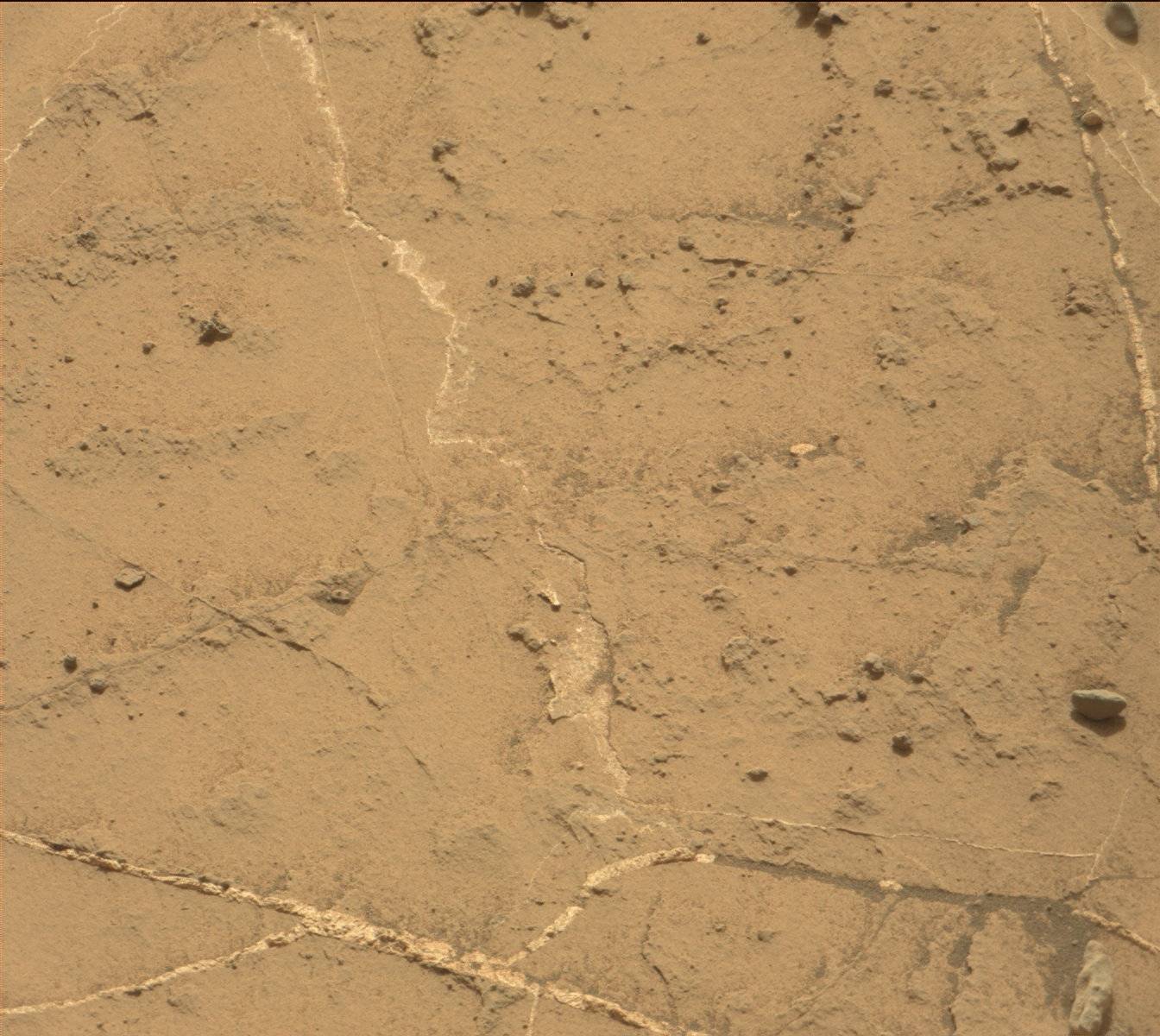 Nasa's Mars rover Curiosity acquired this image using its Mast Camera (Mastcam) on Sol 1456