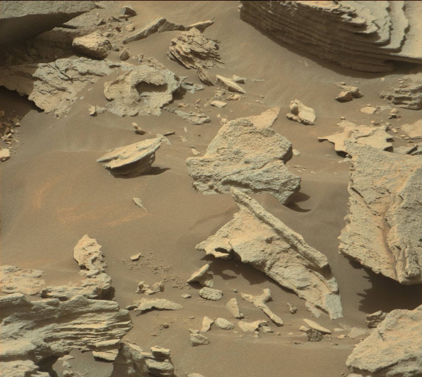 Nasa's Mars rover Curiosity acquired this image using its Mast Camera (Mastcam) on Sol 1459