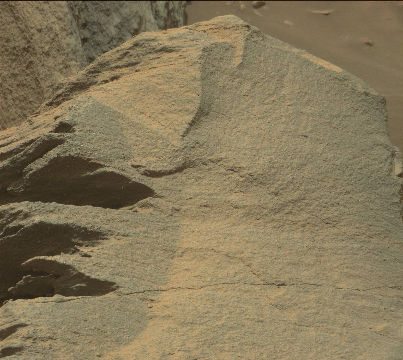 Nasa's Mars rover Curiosity acquired this image using its Mast Camera (Mastcam) on Sol 1460