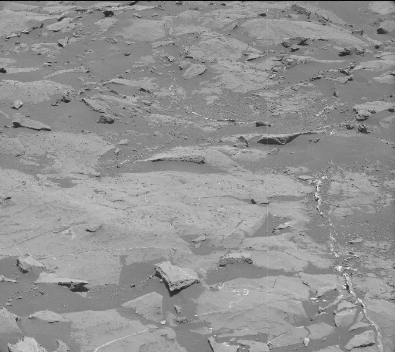 Nasa's Mars rover Curiosity acquired this image using its Mast Camera (Mastcam) on Sol 1462