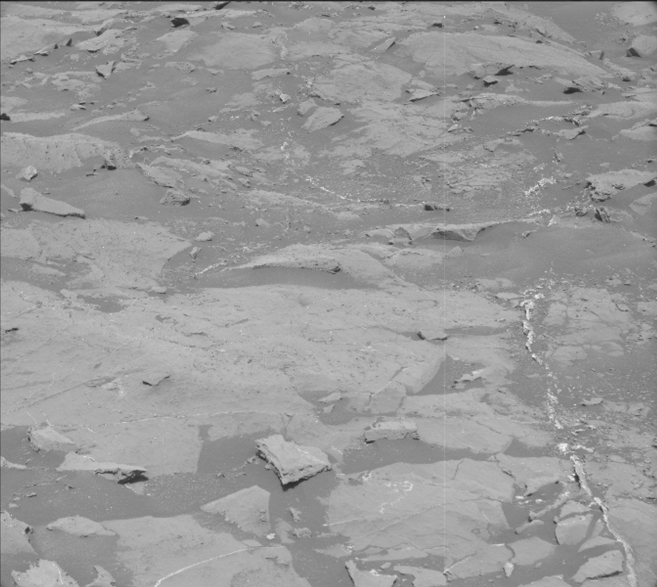 Nasa's Mars rover Curiosity acquired this image using its Mast Camera (Mastcam) on Sol 1462