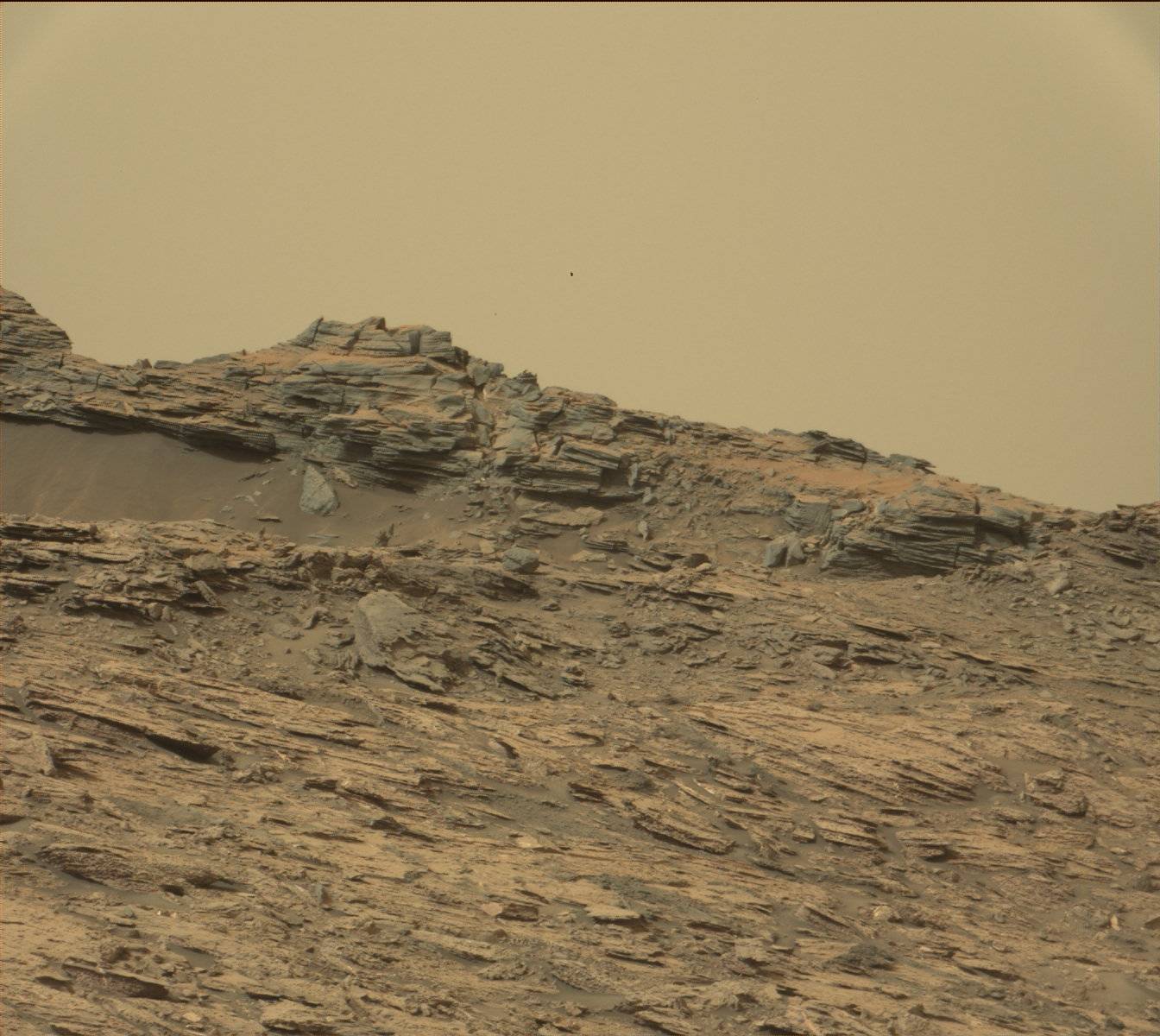 Nasa's Mars rover Curiosity acquired this image using its Mast Camera (Mastcam) on Sol 1463