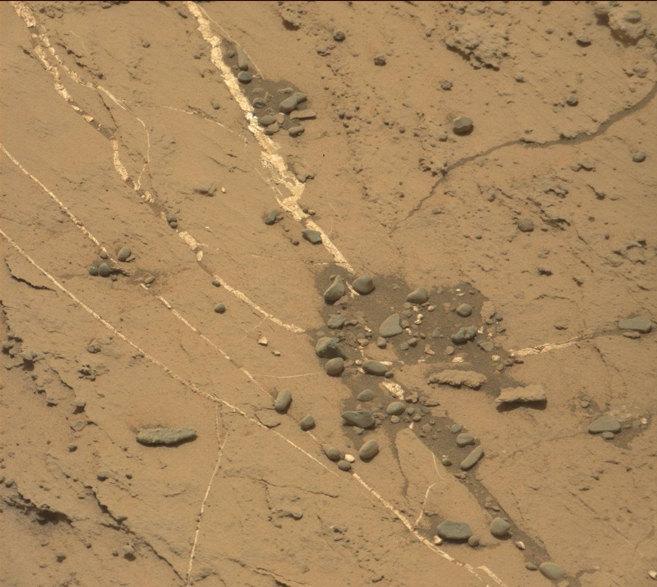 Nasa's Mars rover Curiosity acquired this image using its Mast Camera (Mastcam) on Sol 1463
