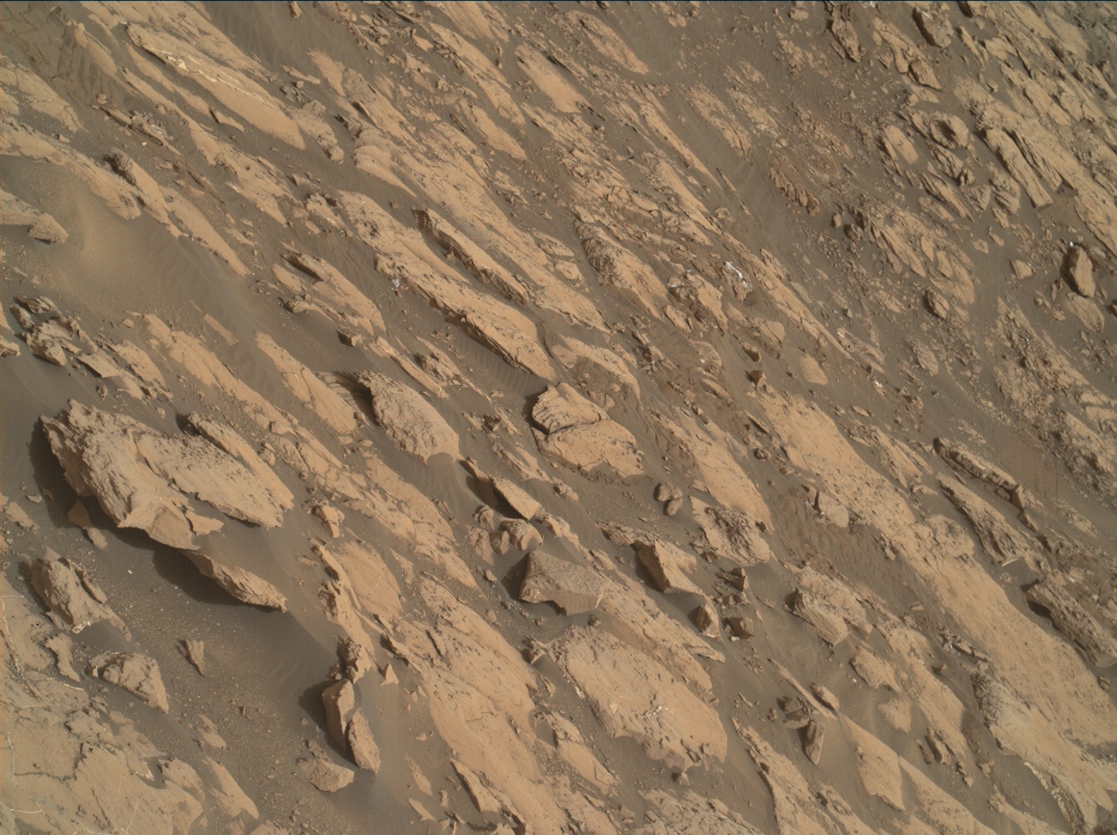 Nasa's Mars rover Curiosity acquired this image using its Mars Hand Lens Imager (MAHLI) on Sol 1463