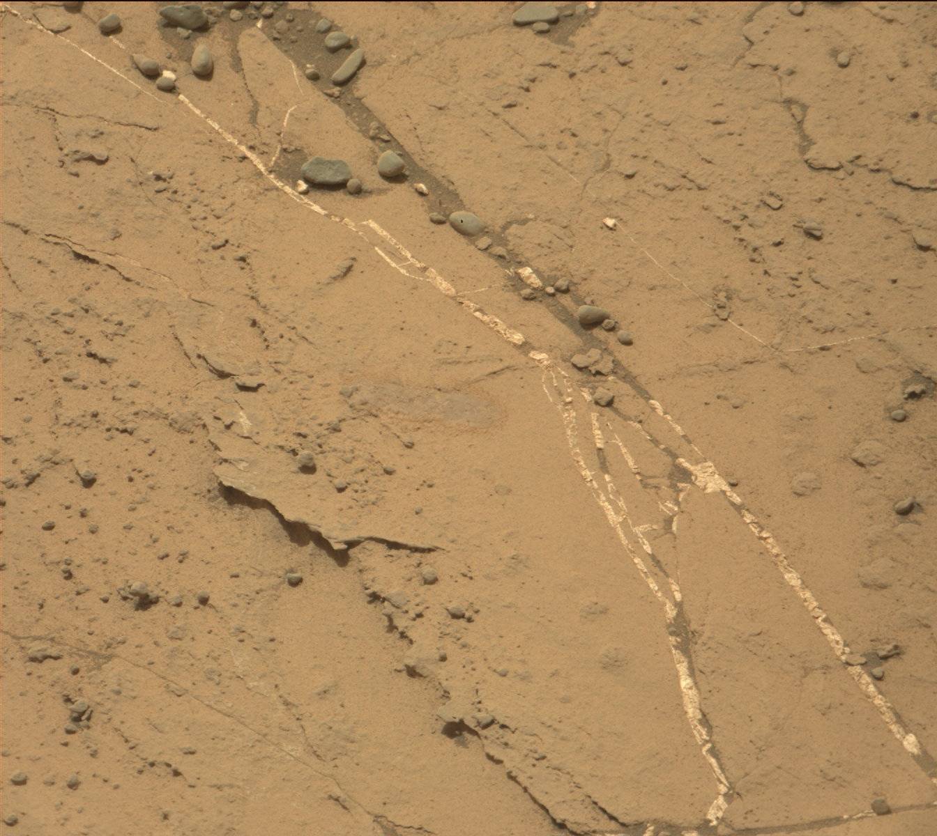 Nasa's Mars rover Curiosity acquired this image using its Mast Camera (Mastcam) on Sol 1466
