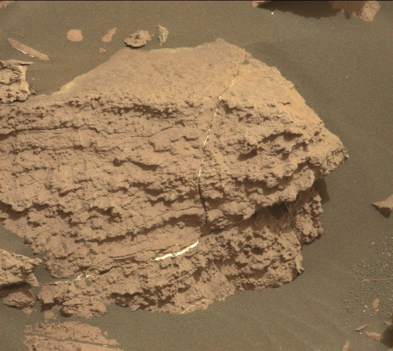 Nasa's Mars rover Curiosity acquired this image using its Mast Camera (Mastcam) on Sol 1473