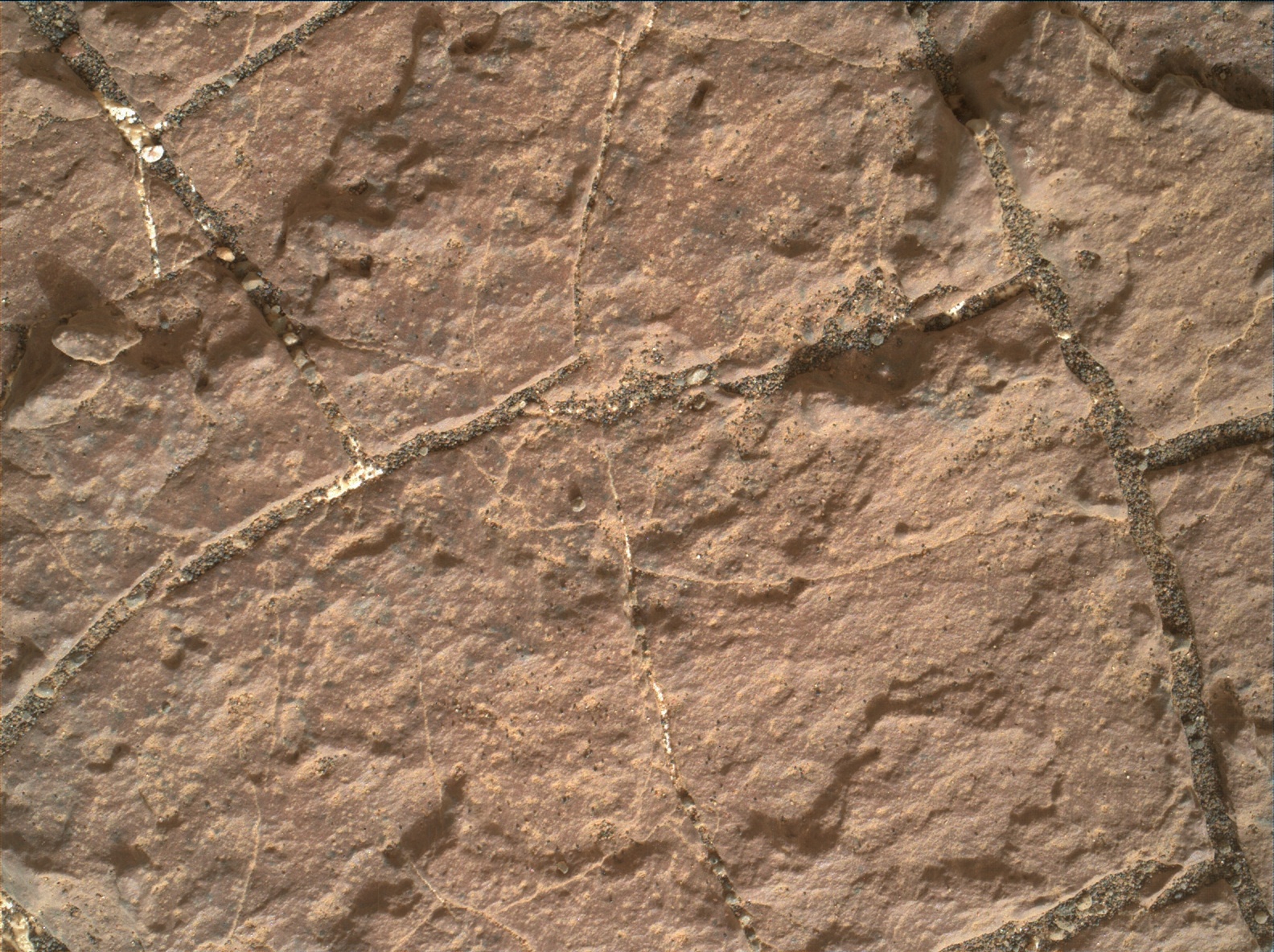 Nasa's Mars rover Curiosity acquired this image using its Mars Hand Lens Imager (MAHLI) on Sol 1477