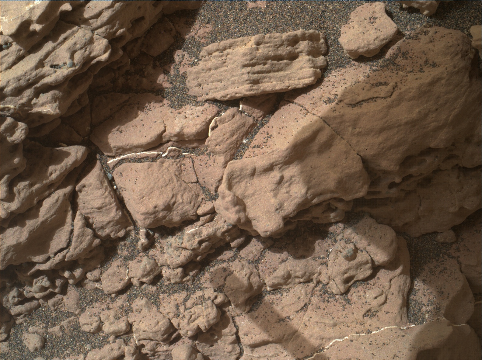 Nasa's Mars rover Curiosity acquired this image using its Mars Hand Lens Imager (MAHLI) on Sol 1482