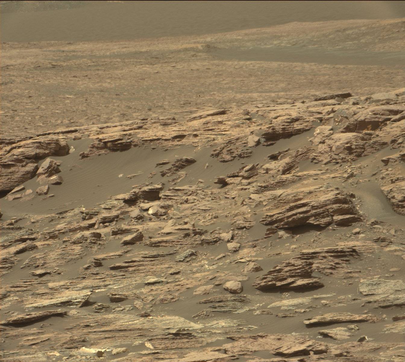 Nasa's Mars rover Curiosity acquired this image using its Mast Camera (Mastcam) on Sol 1493
