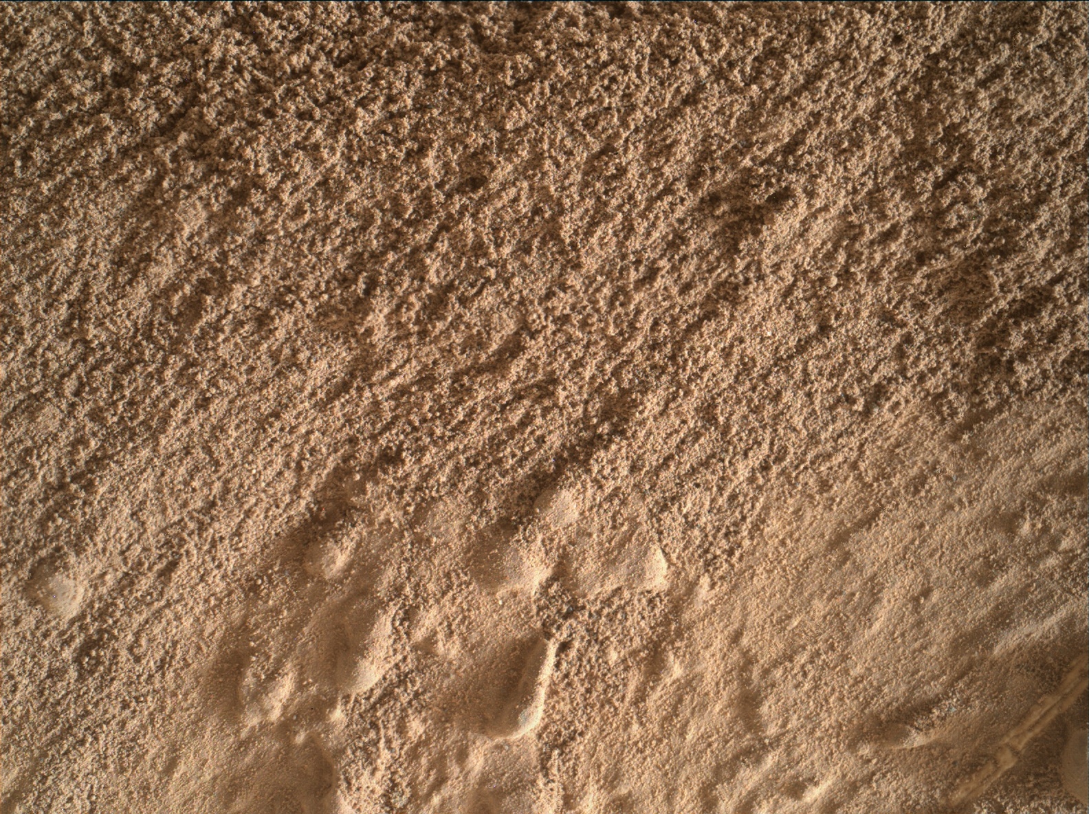 Nasa's Mars rover Curiosity acquired this image using its Mars Hand Lens Imager (MAHLI) on Sol 1494