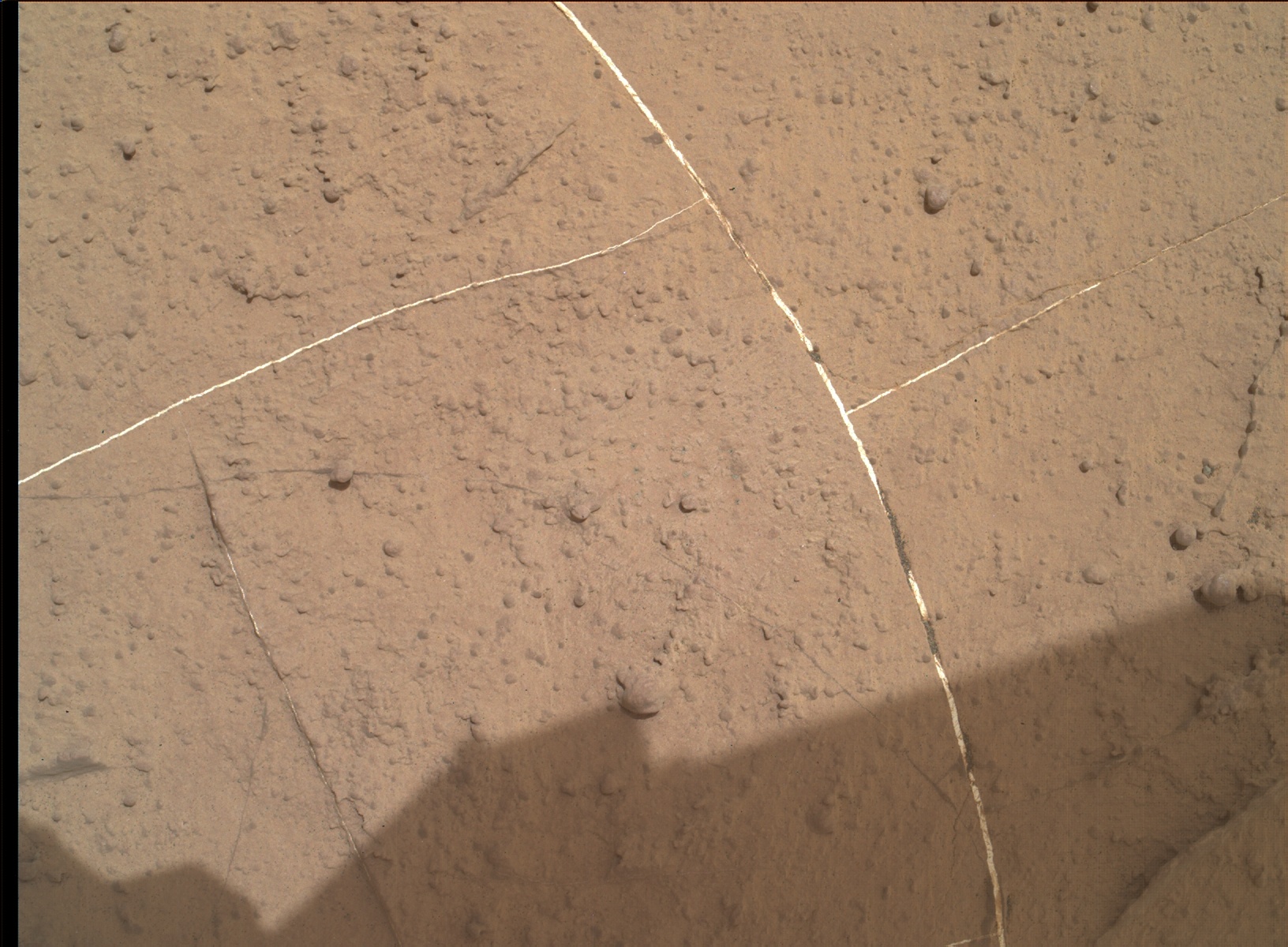 Nasa's Mars rover Curiosity acquired this image using its Mars Hand Lens Imager (MAHLI) on Sol 1495