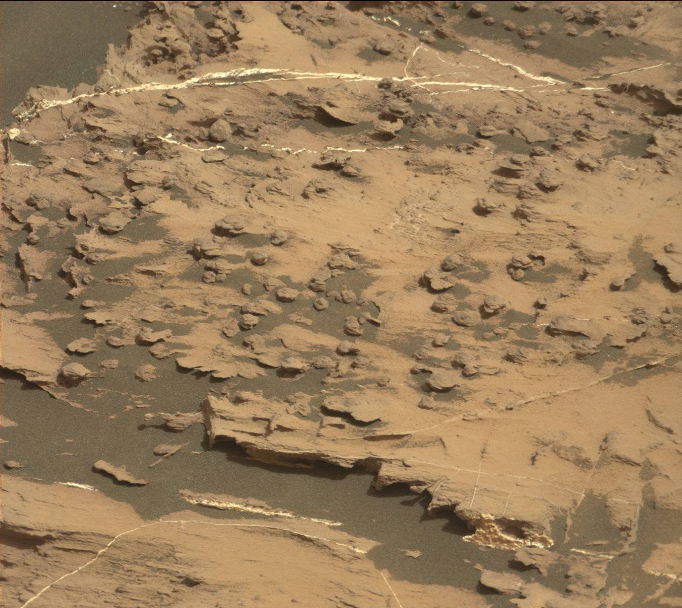 Nasa's Mars rover Curiosity acquired this image using its Mast Camera (Mastcam) on Sol 1499