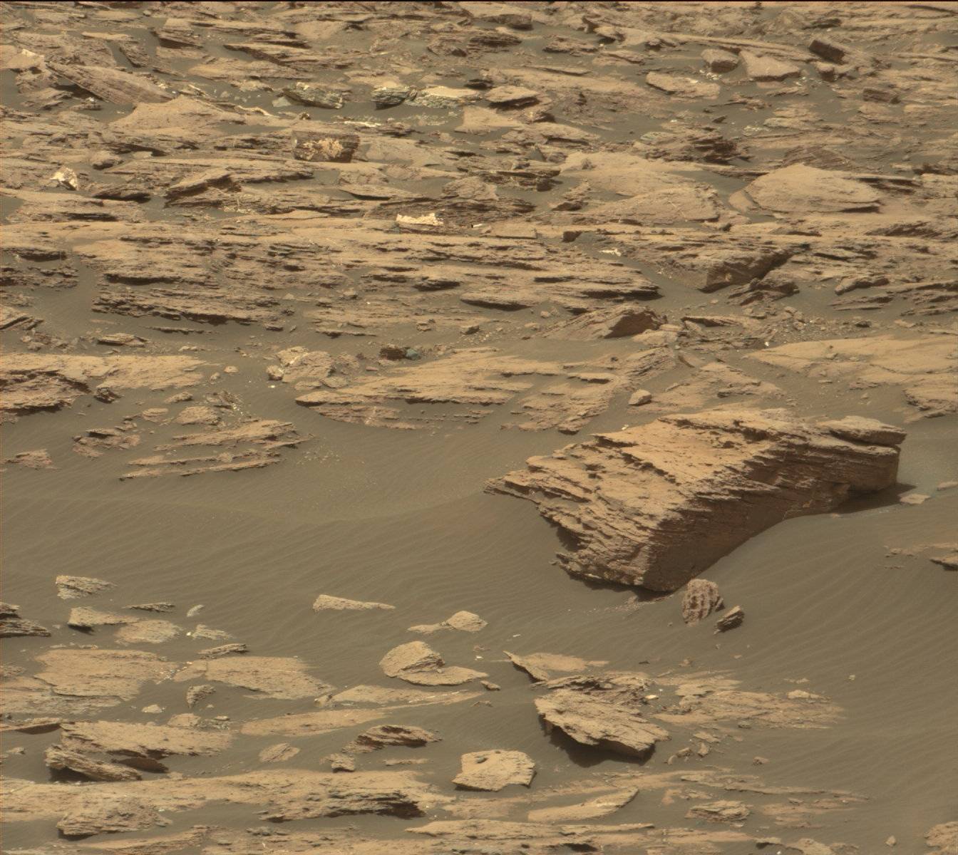 Nasa's Mars rover Curiosity acquired this image using its Mast Camera (Mastcam) on Sol 1500