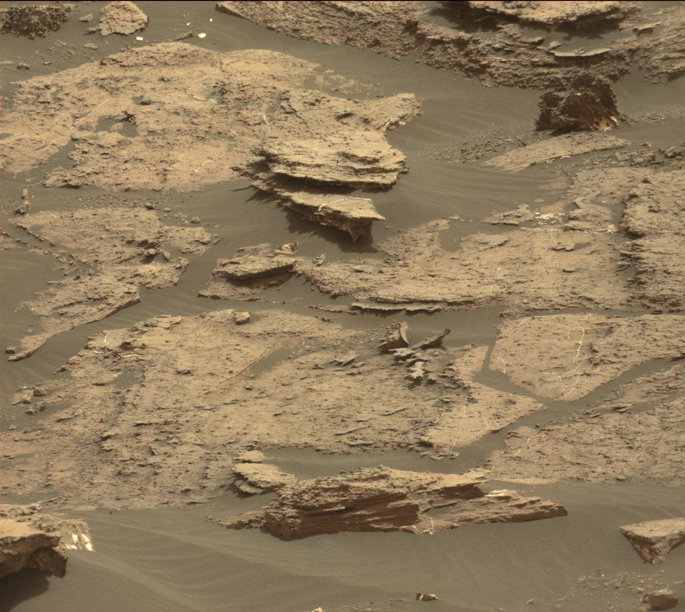 Nasa's Mars rover Curiosity acquired this image using its Mast Camera (Mastcam) on Sol 1500