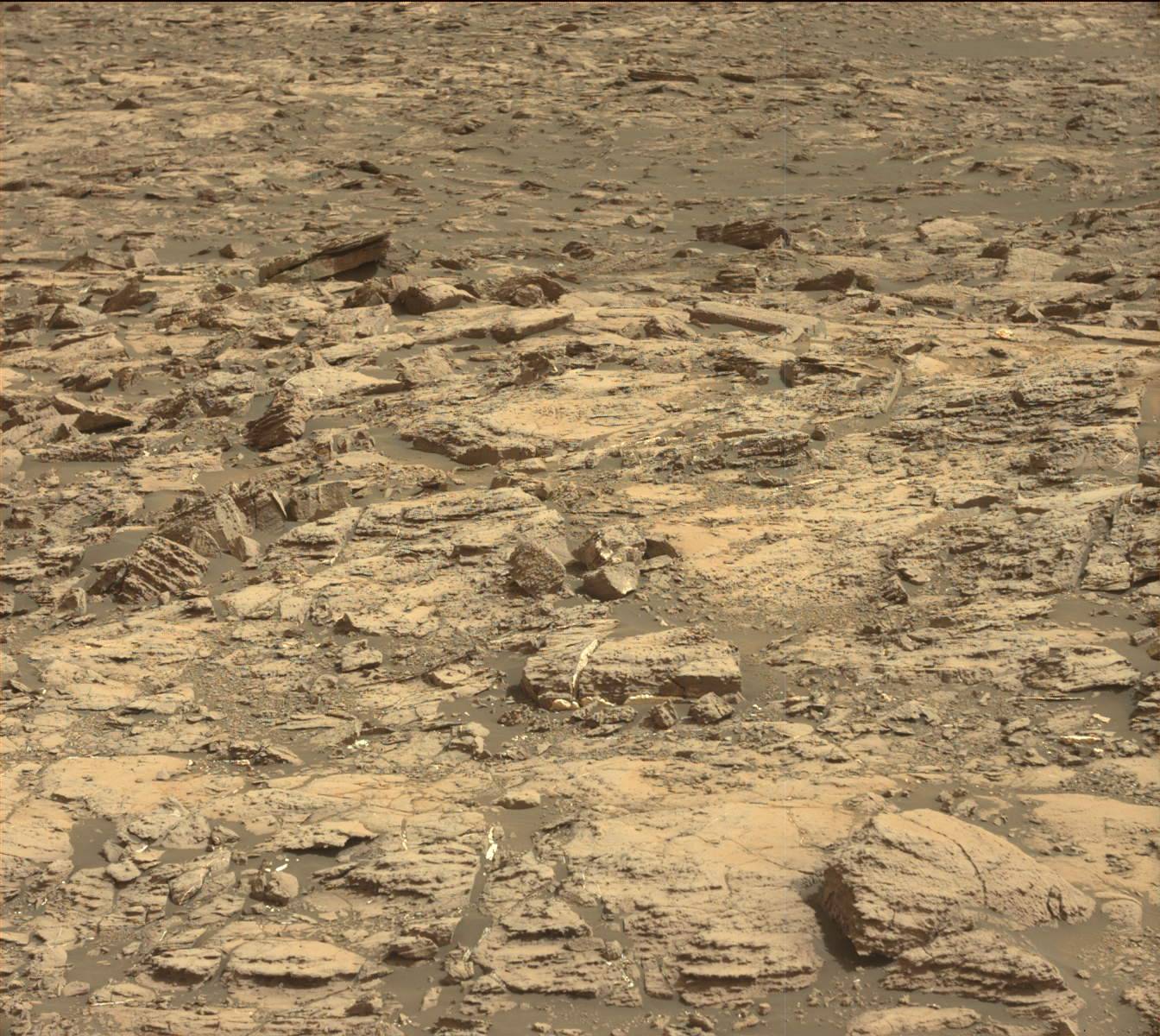 Nasa's Mars rover Curiosity acquired this image using its Mast Camera (Mastcam) on Sol 1501