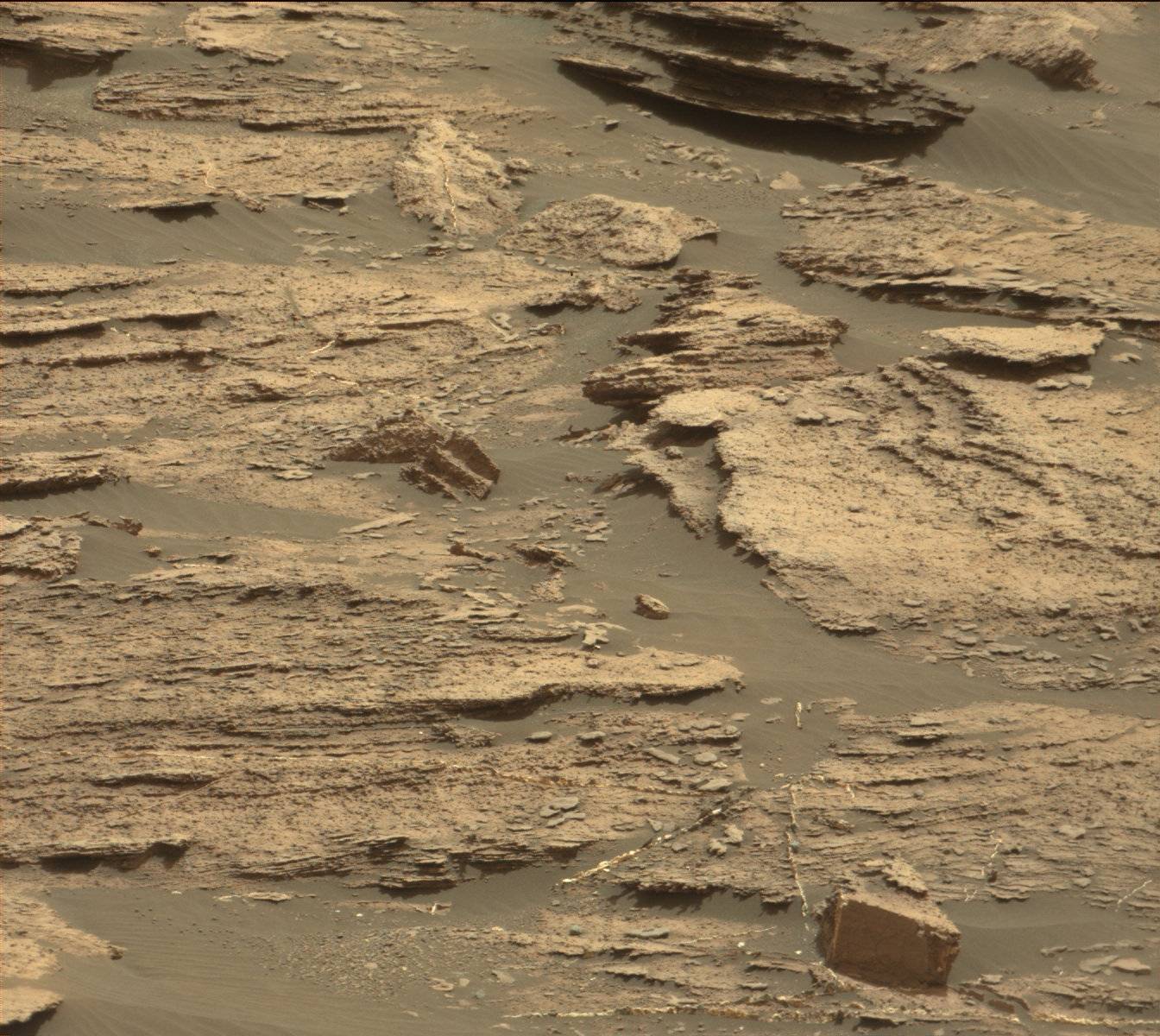 Nasa's Mars rover Curiosity acquired this image using its Mast Camera (Mastcam) on Sol 1501